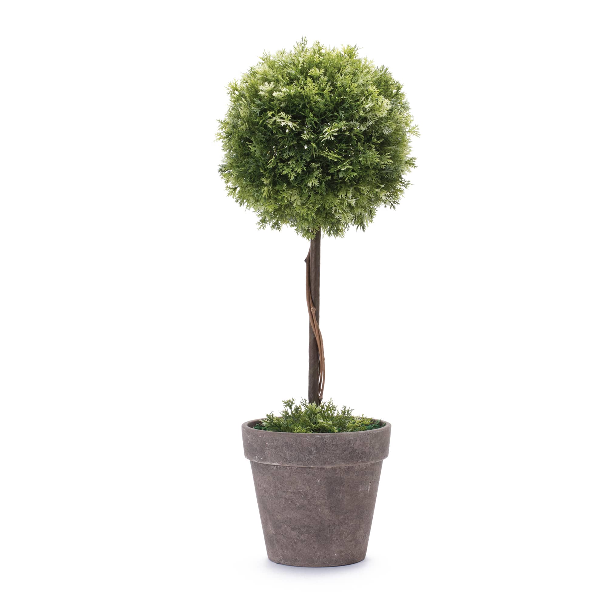 17.5&#x22; Potted Boxwood Topiary Tree