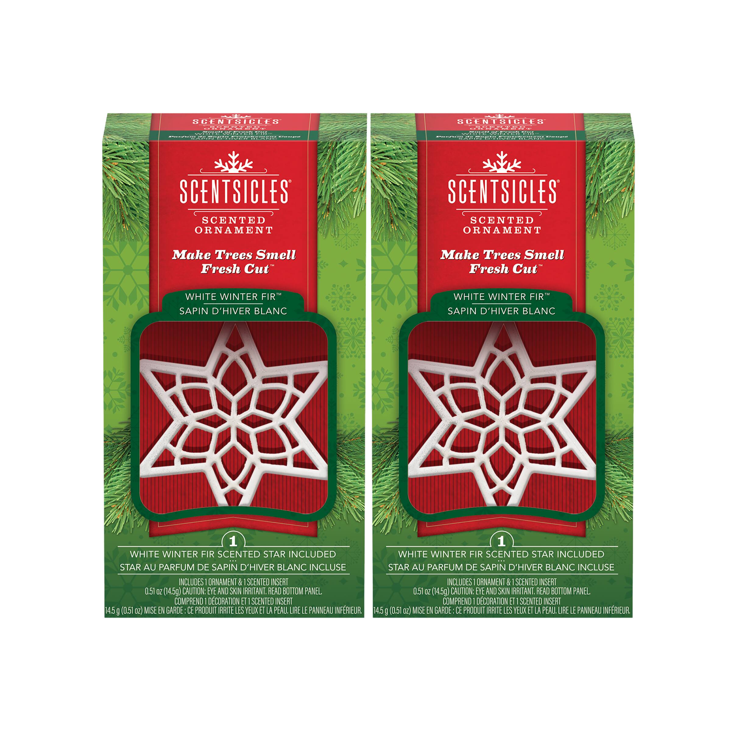 Scentsicles® 3" White Winter Fir Scented Star Ornament, 2ct.