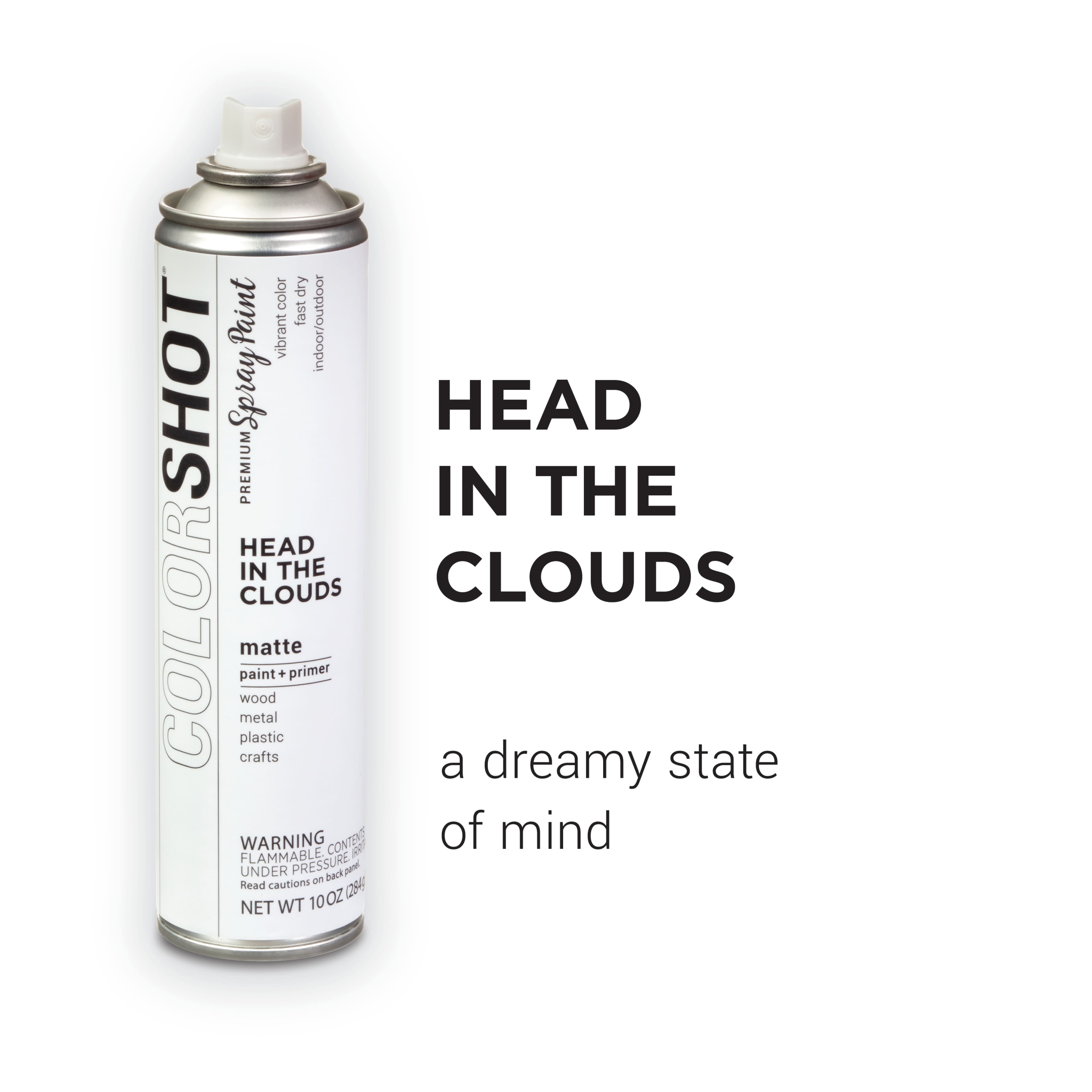 COLORSHOT® Head In the Clouds Matte Spray Paint