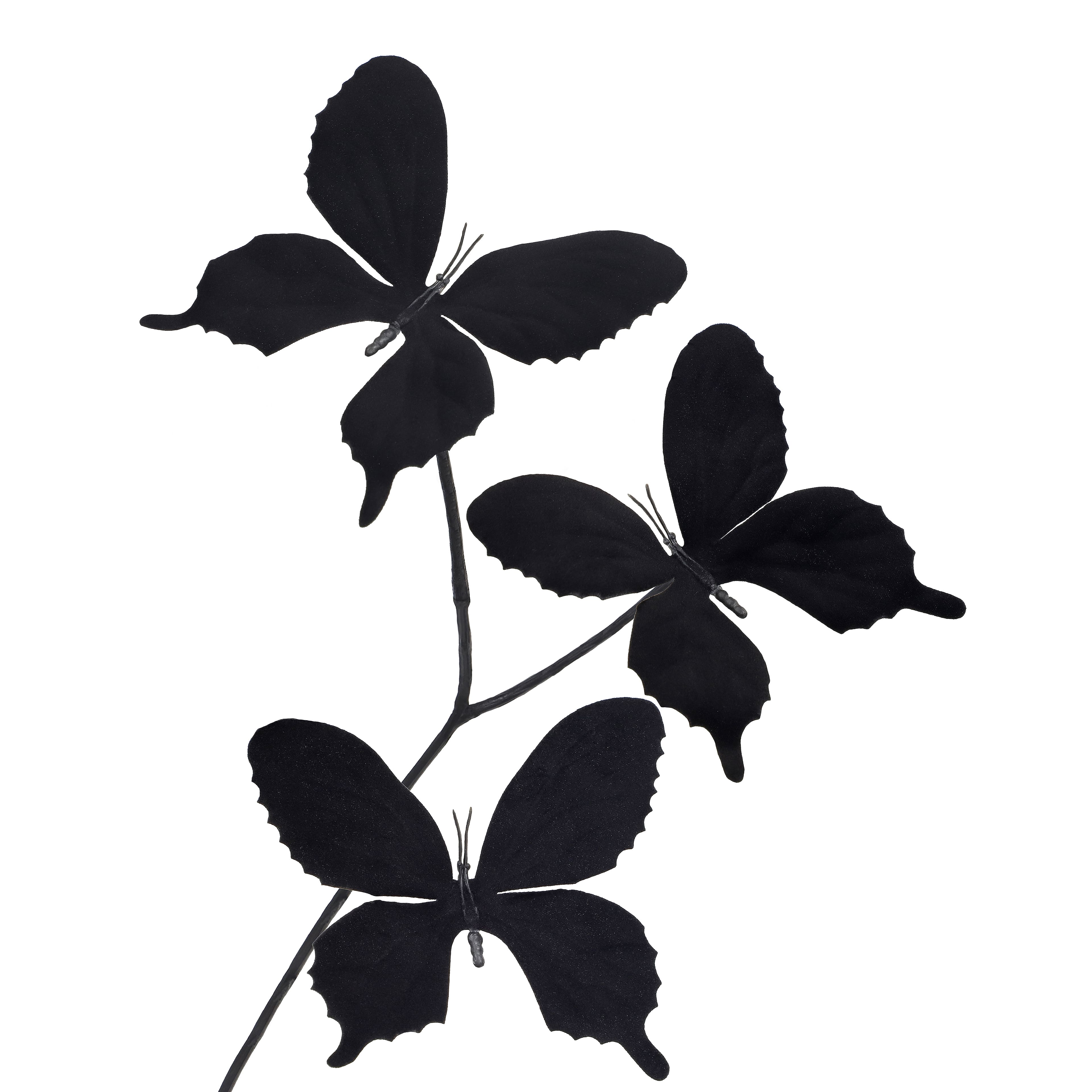 29&#x22; Black Butterfly Stem by Ashland&#xAE;