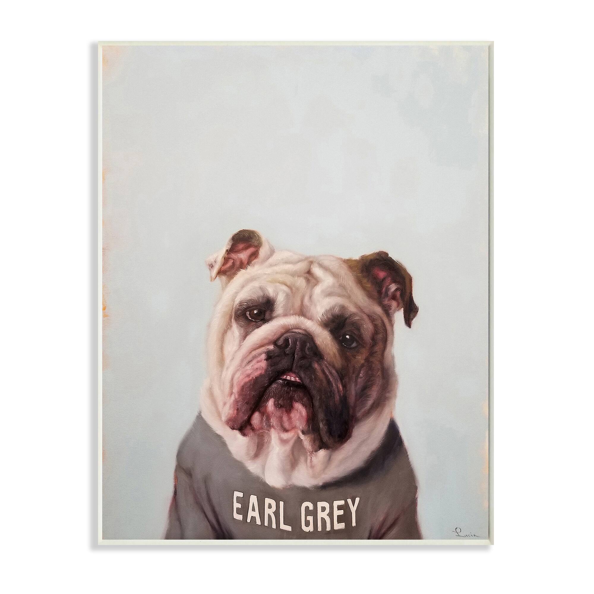 Stupell Industries English Bulldog in Earl Grey Tea Shirt Wall Plaque