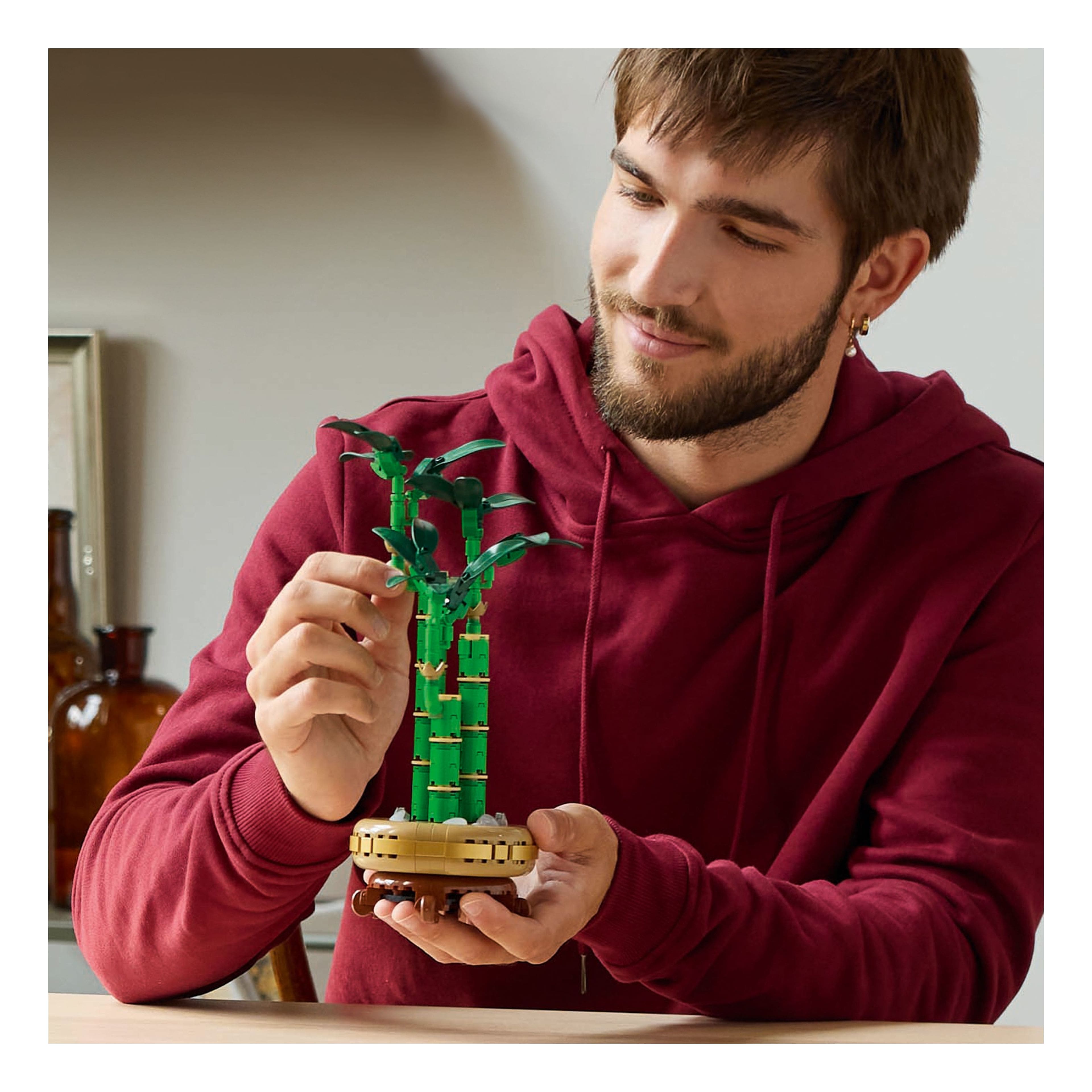 LEGO® Botanicals™ Lucky Bamboo