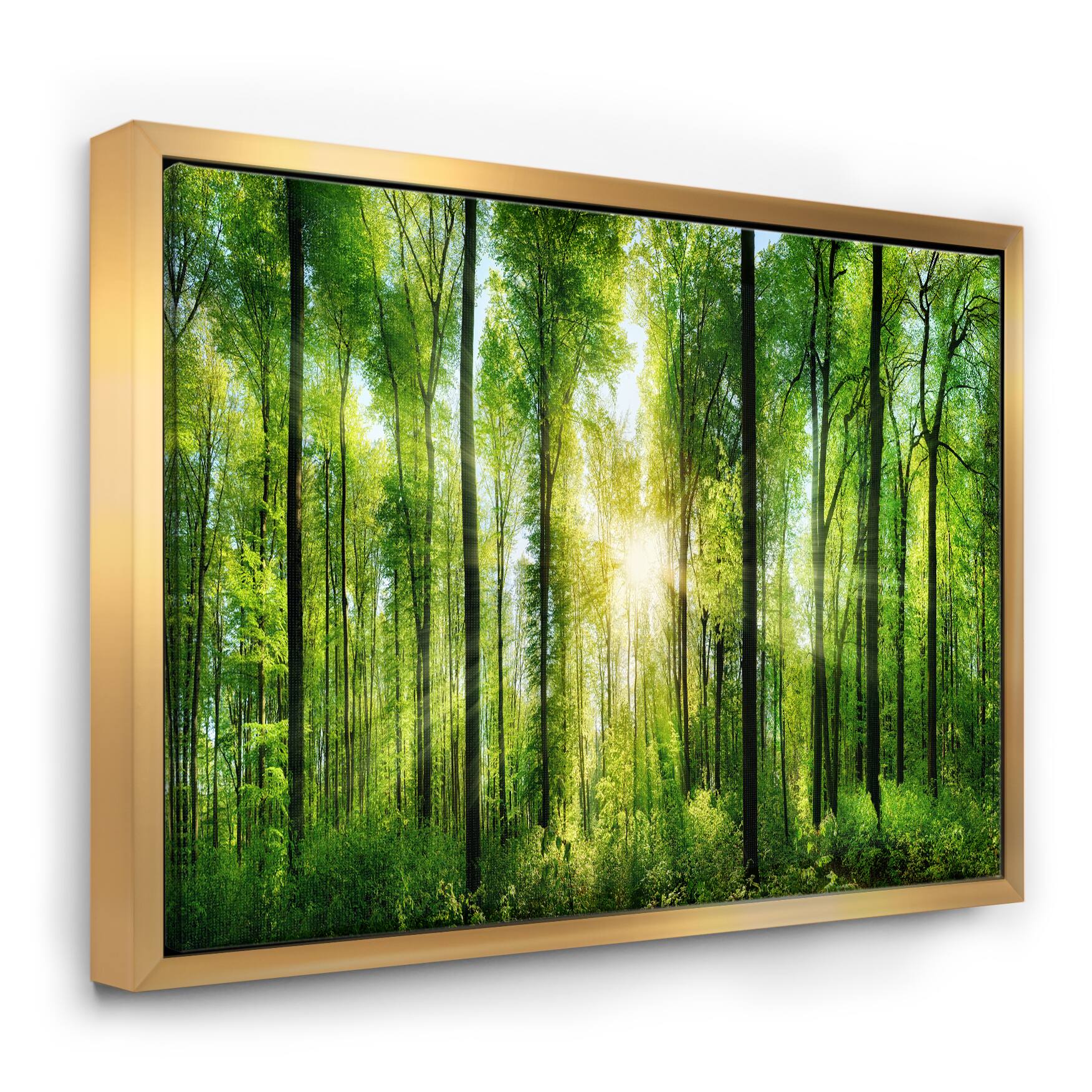 Designart - Forest with Rays of Sun Panorama - Landscape Art Print Framed Canvas