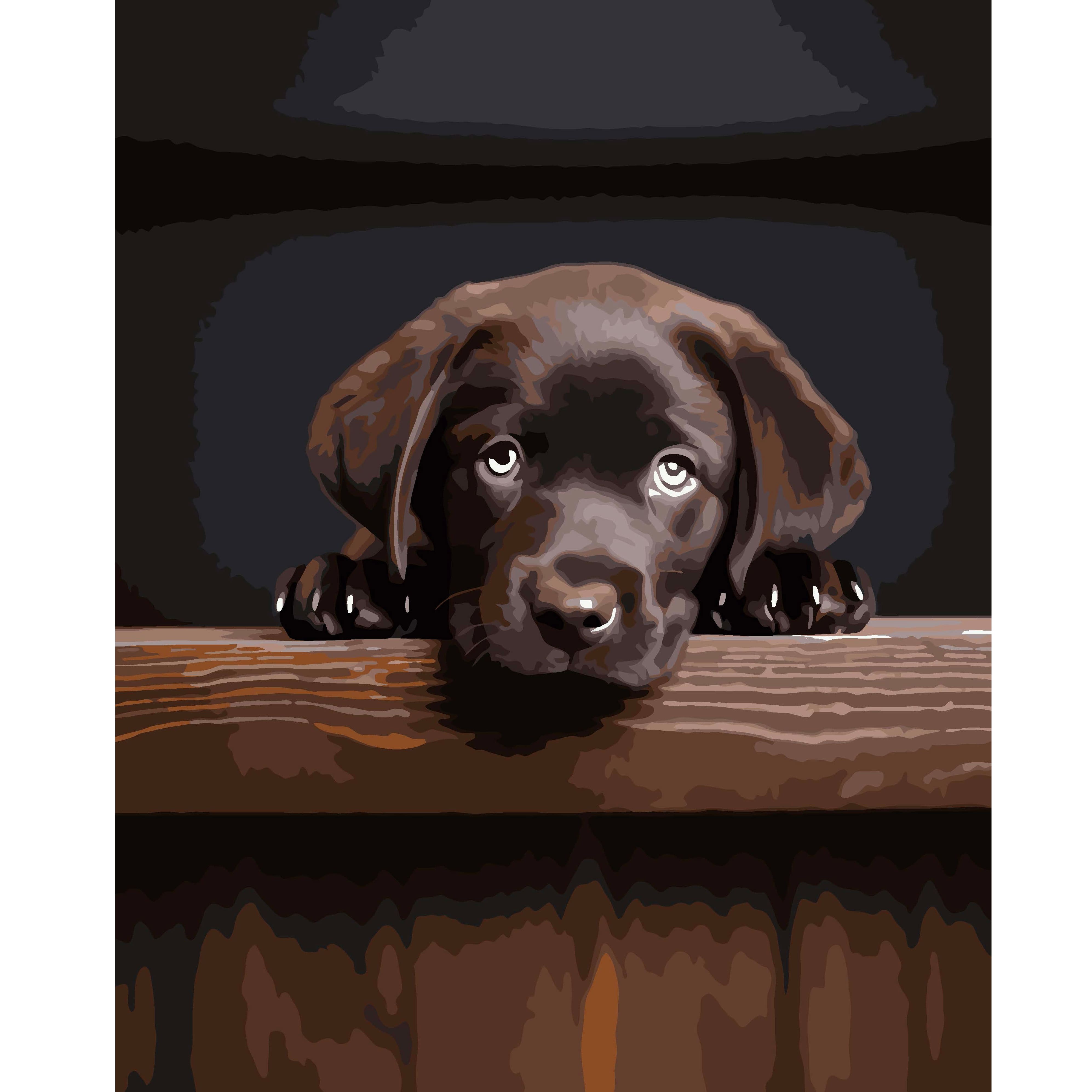16" x 20" Black Lab Paint-by-Number Kit by Artist's Loft®