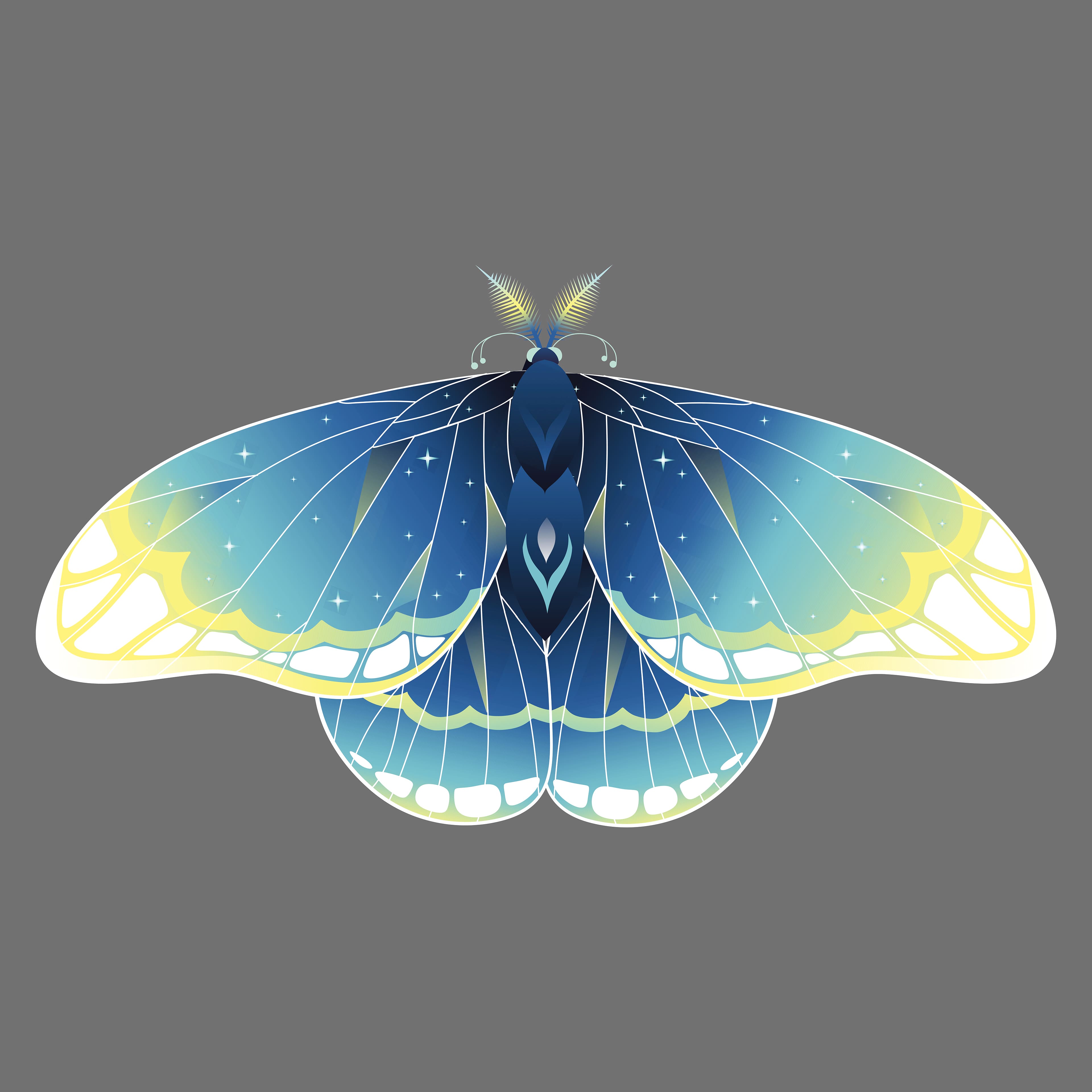 4&#x22; x 4&#x22; Moths Canvas Painting Kit by Craft Smart&#xAE;