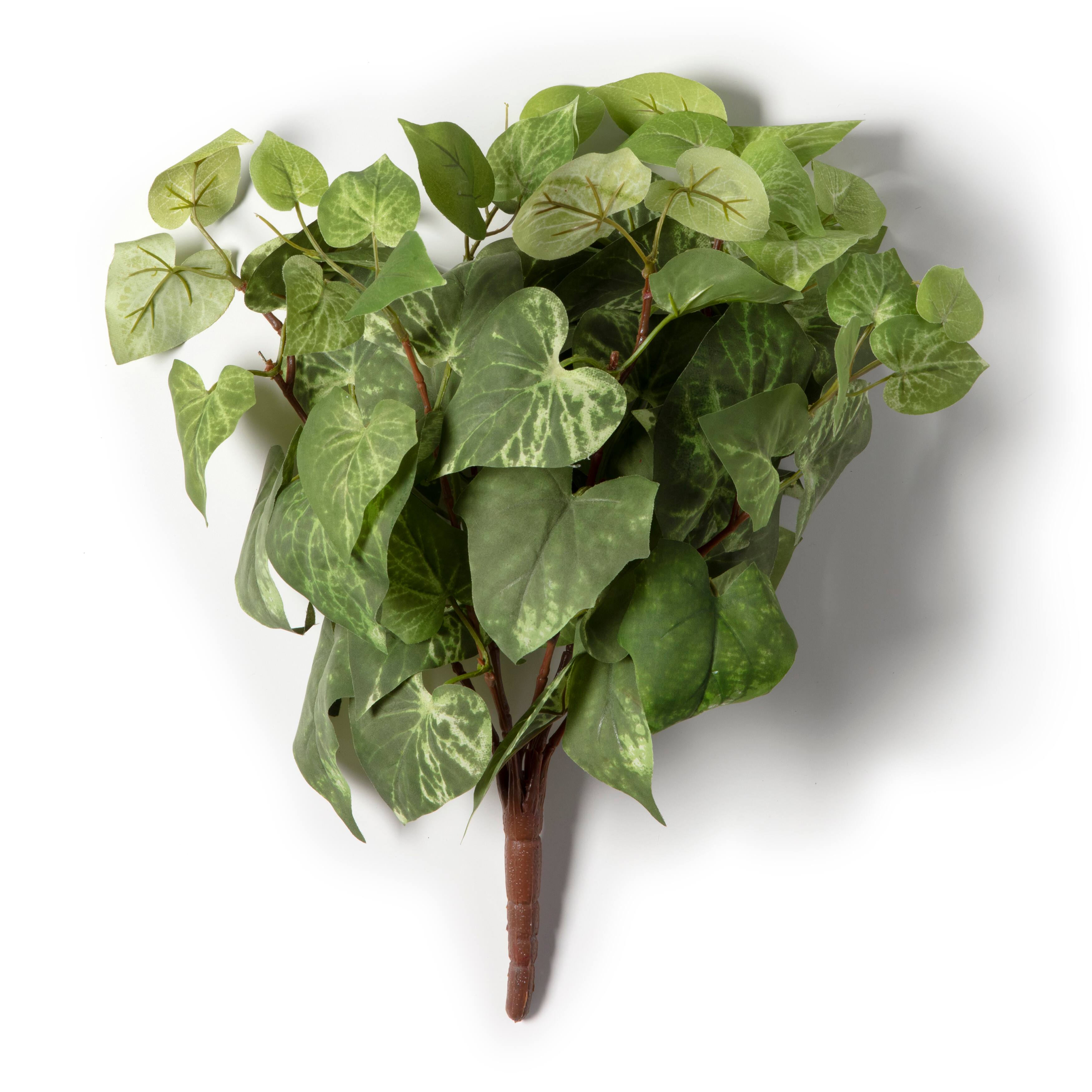 8 Pack: Yellow &#x26; Green Potato Leaf Bush by Ashland&#xAE;