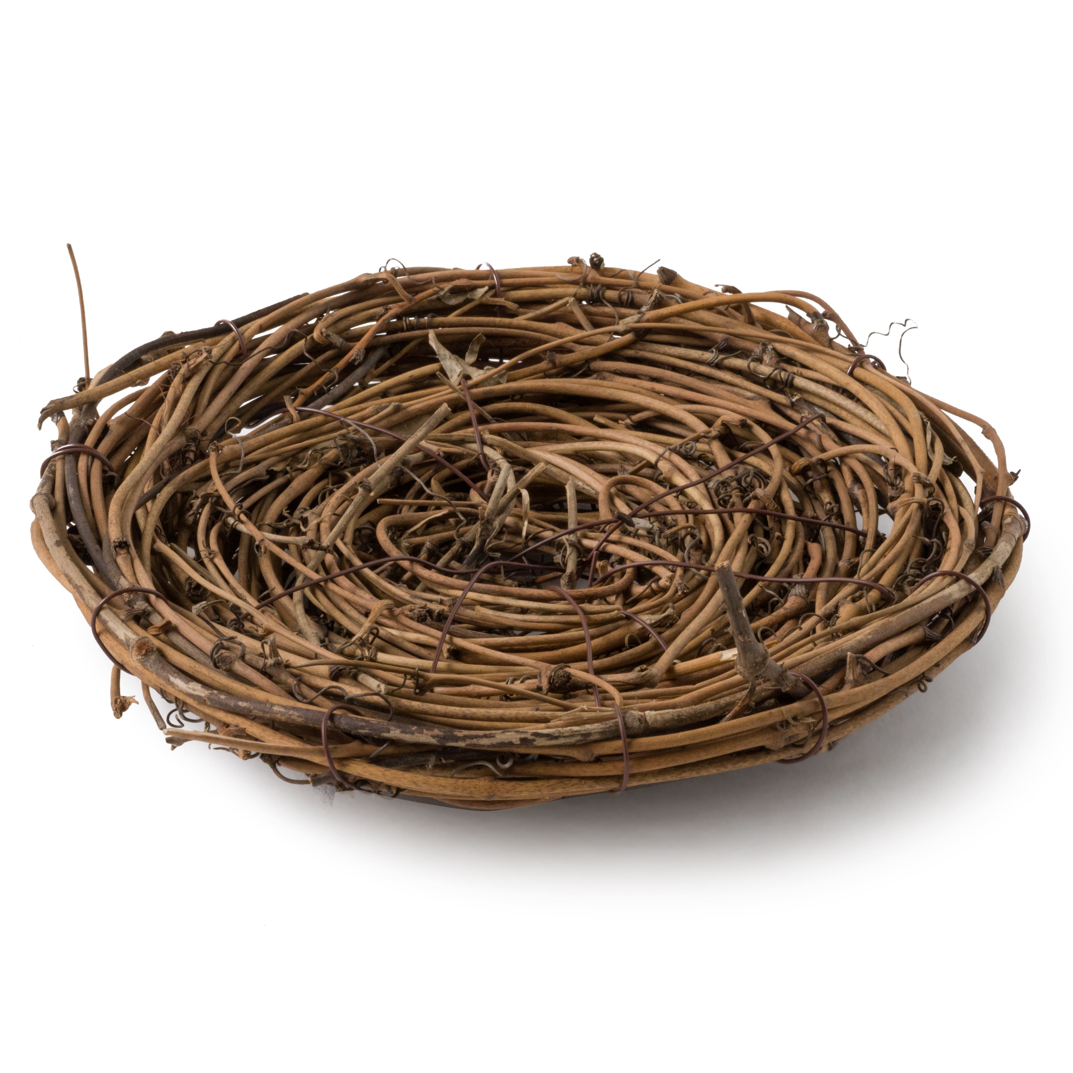 12 Pack: Bird Nest by Ashland&#xAE;