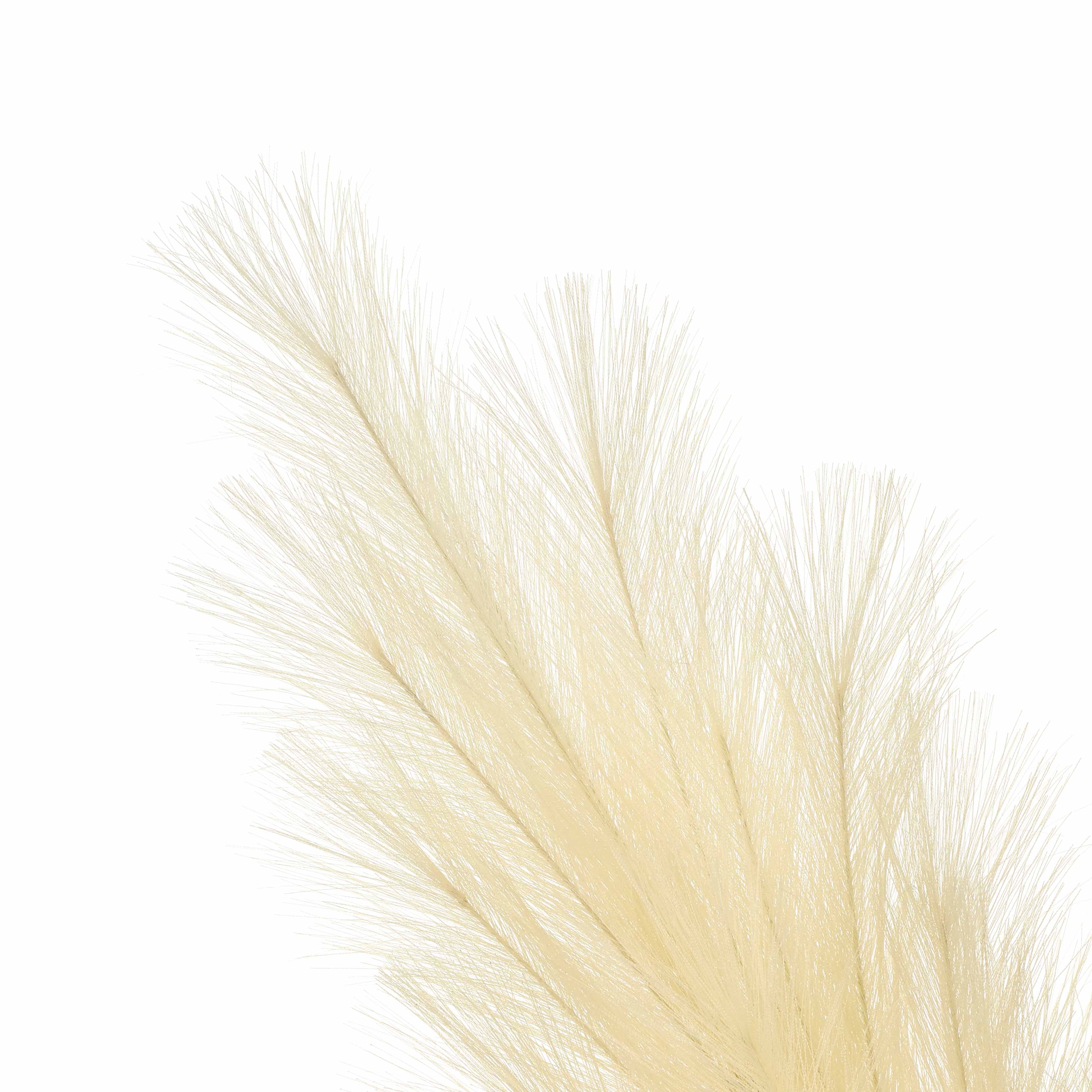5ft. Cream Pampas Grass Stem by Ashland&#xAE;