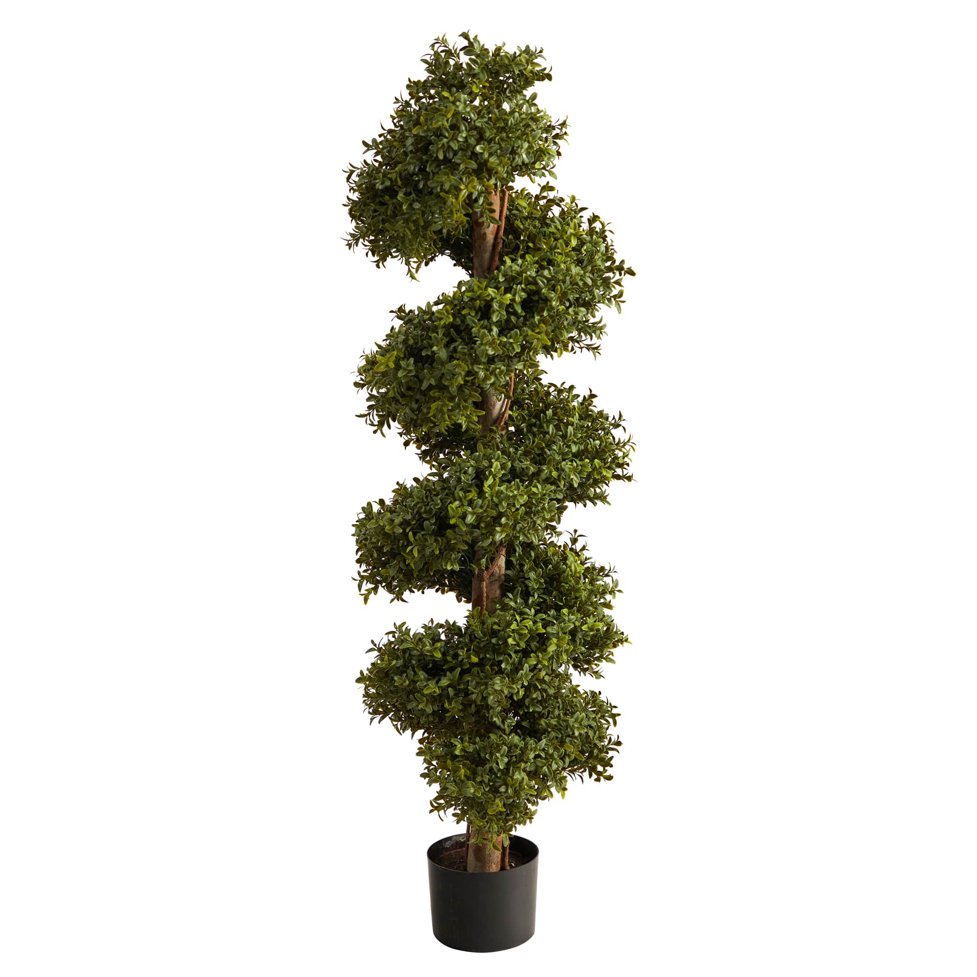 4ft. Potted Spiral Boxwood Topiary Tree