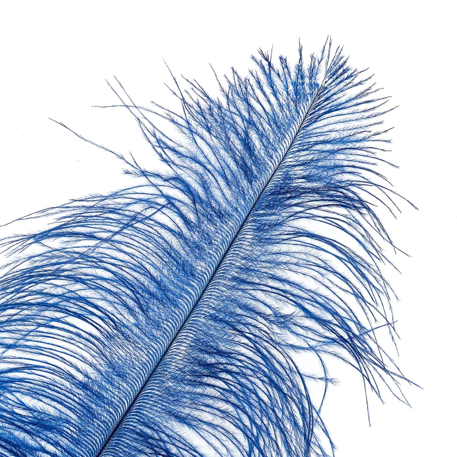 John Bead 11&#x22;-13&#x22; Ostrich Drab Feather