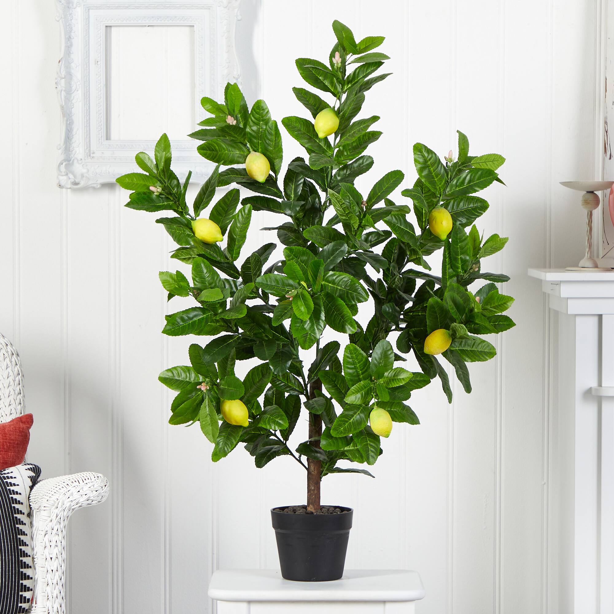 3ft. Potted Lemon Tree