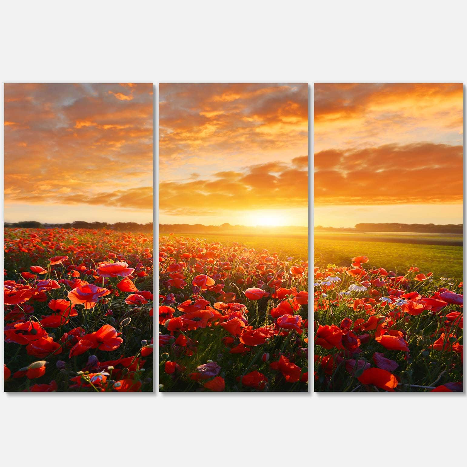 Designart - Beautiful Poppy Field at Sunset - Abstract Wall Art Canvas