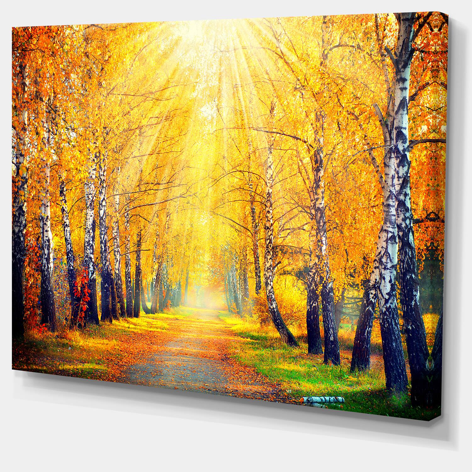 Designart - Yellow Autumn Trees in Sunray - Large Landscape Canvas Art Print