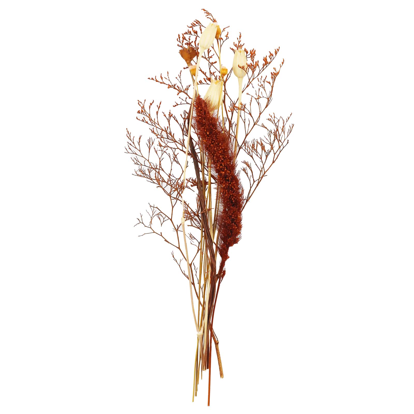 11" Rust Natural Dried Botanical Bundle by Ashland®