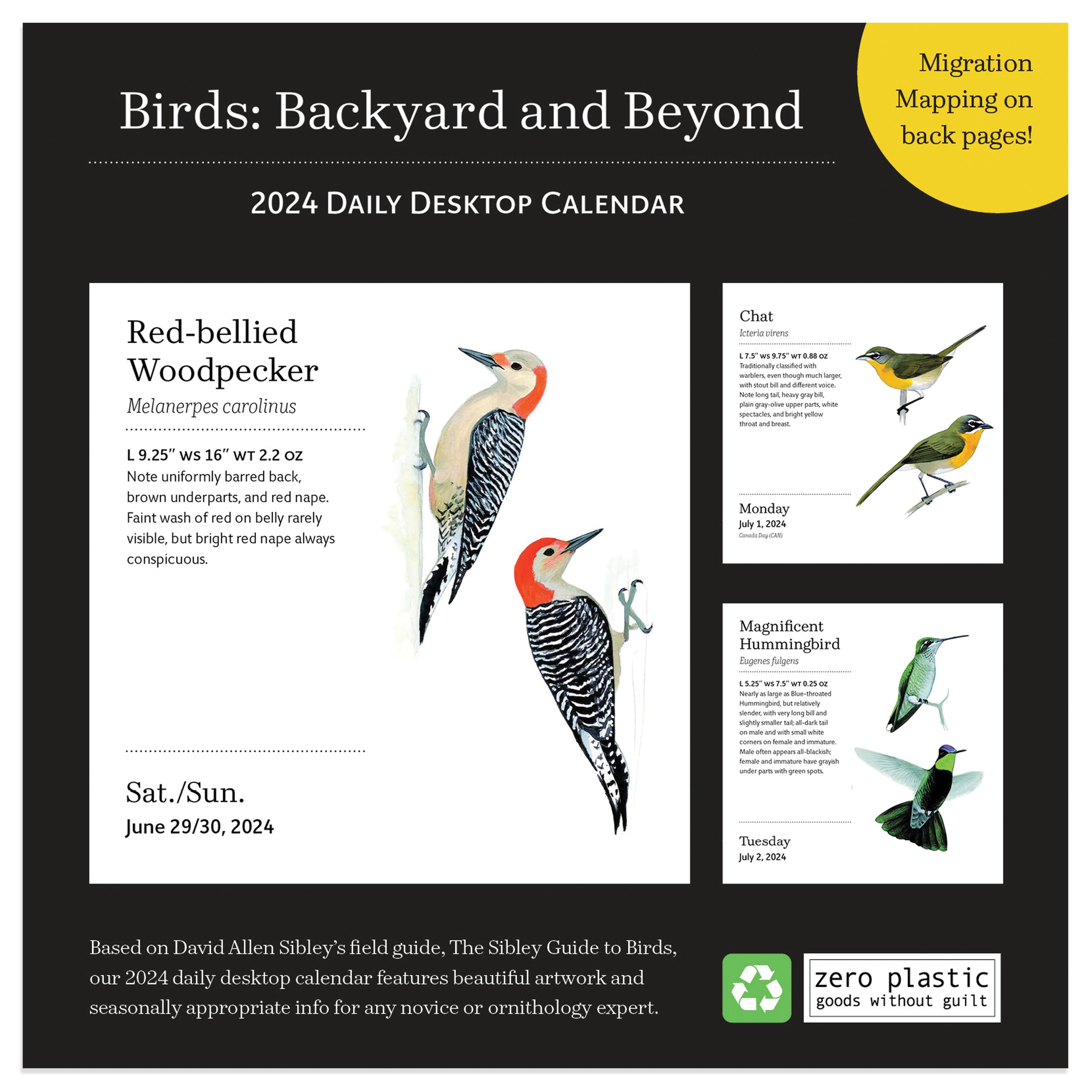 TF Publishing 2024 Birds: Backyard & Beyond Daily Desktop Calendar