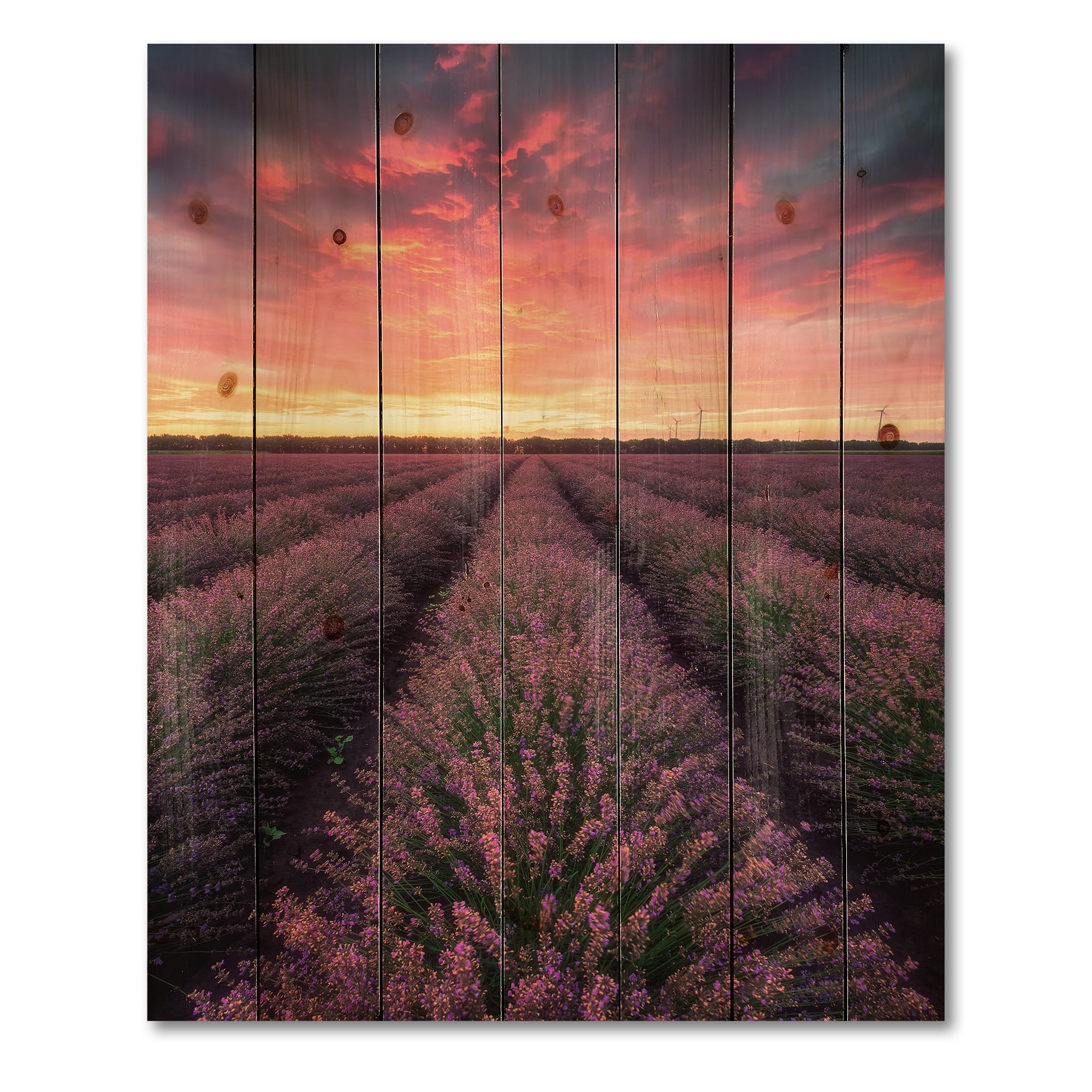 Designart - Sunrise &#x26; Dramatic Clouds Over Lavender Field XIV - Farmhouse Print on Natural Pine Wood