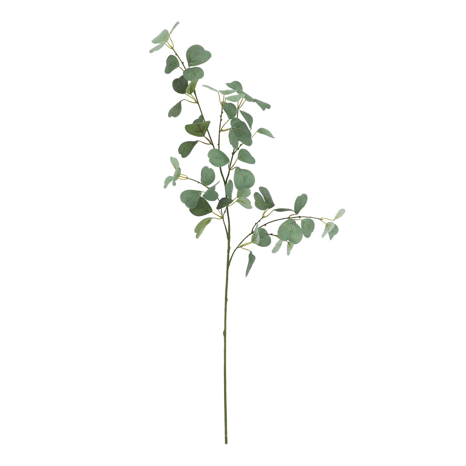 29&#x22; Green Heart Eucalyptus Stem by Ashland&#xAE;