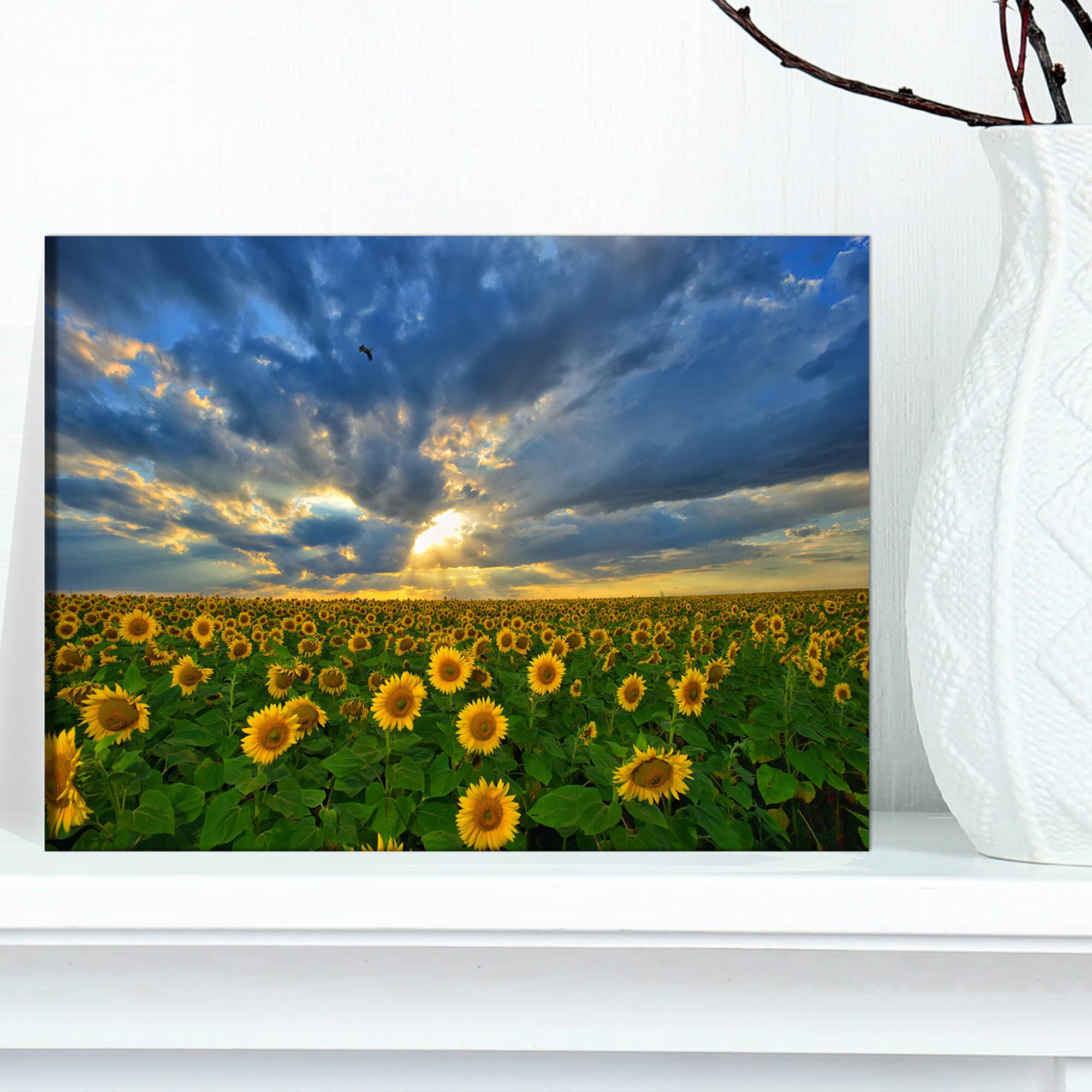 Designart - Beauty Sunset over Sunflowers - Landscape Canvas Art Print