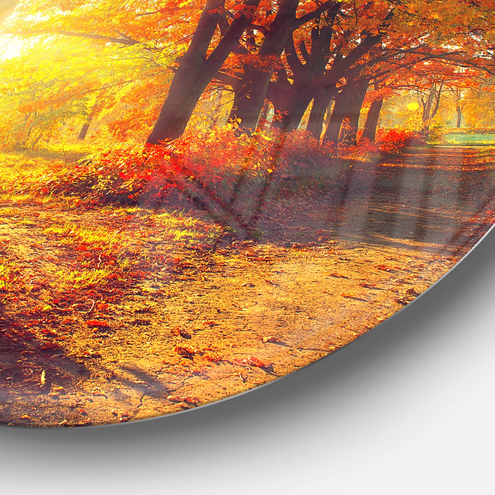 Designart - Autumnal Trees in Sunrays' Disc Large Landscape Metal Circle Wall Art