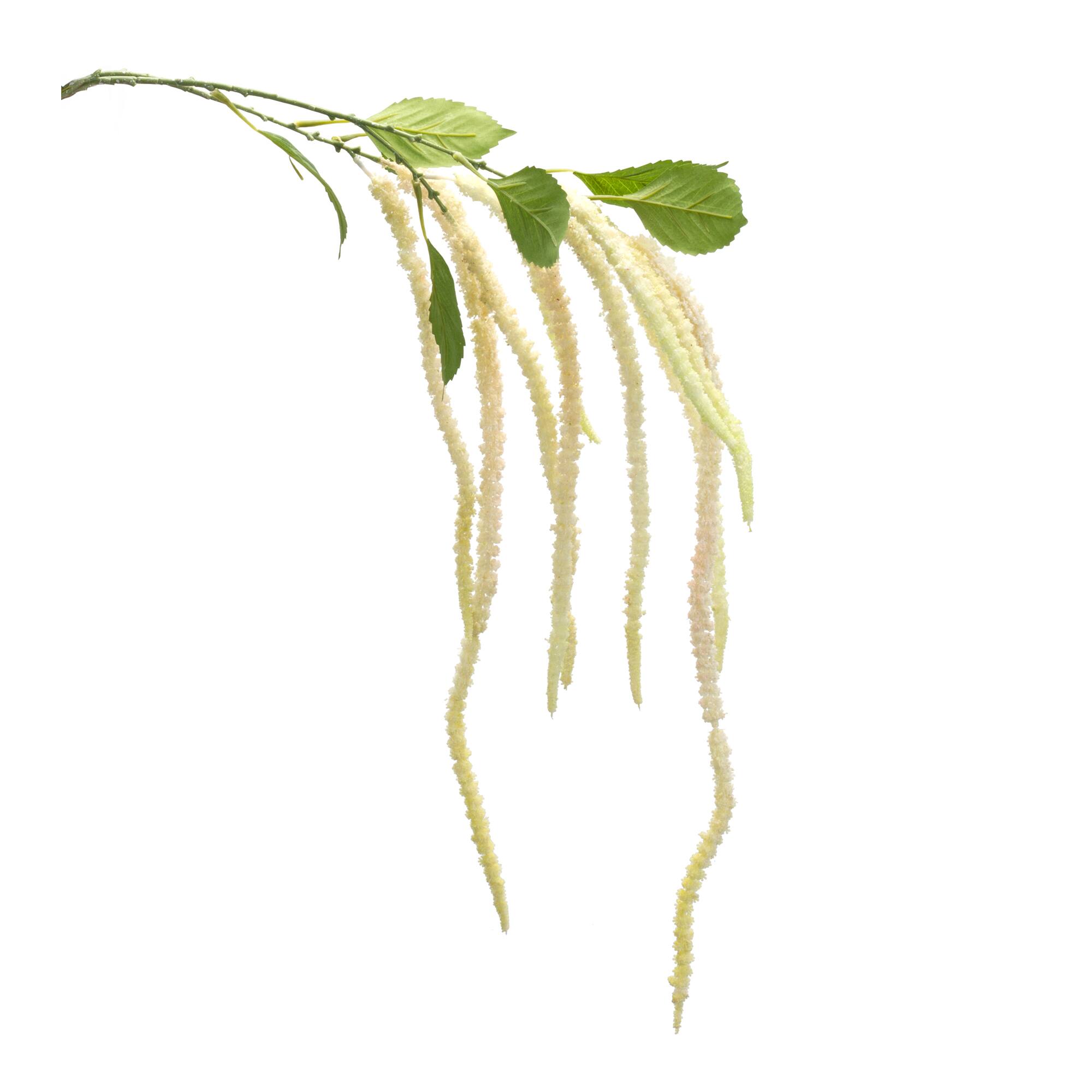 53.25&#x22; Beige Amaranthus Floral Stems, 4ct.