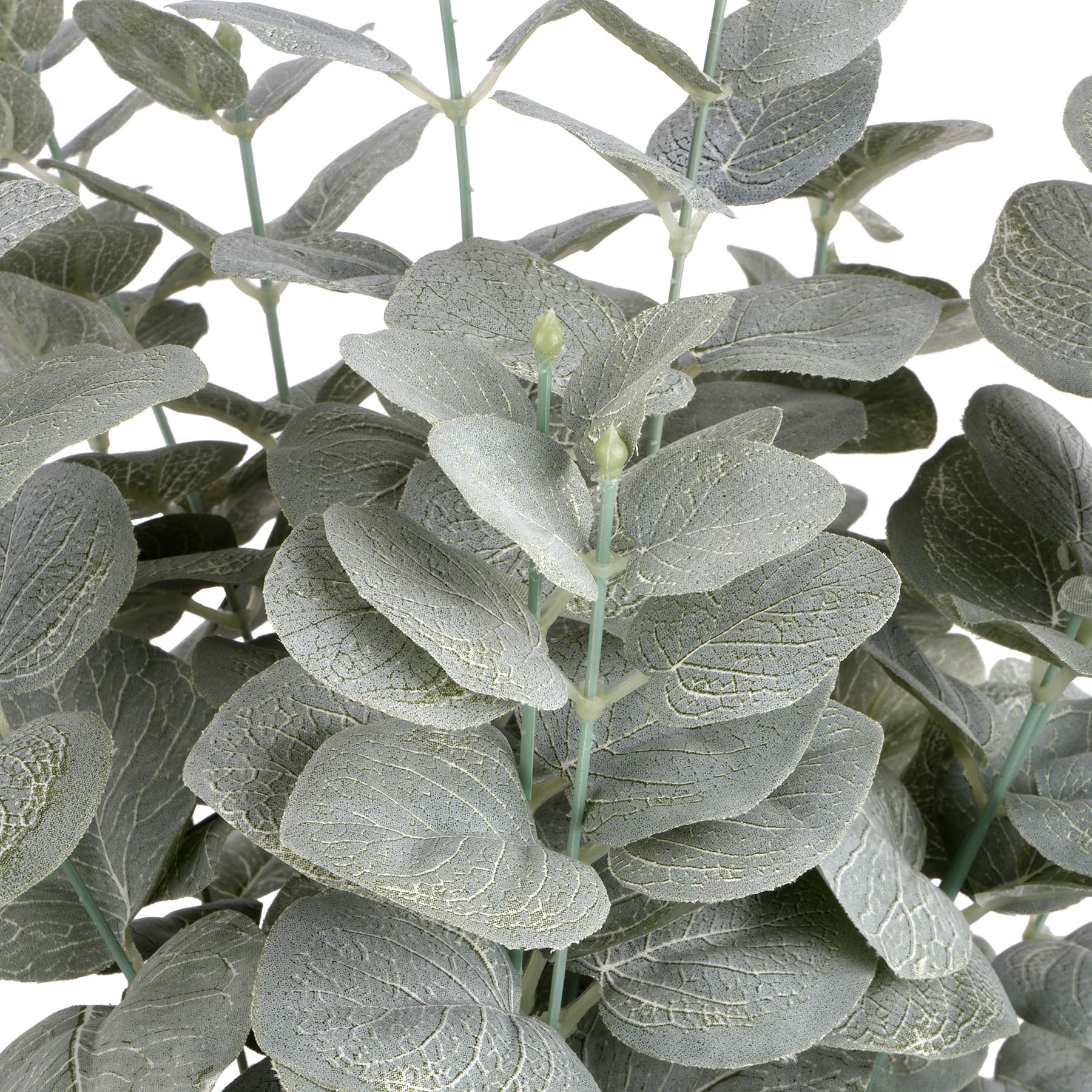 2ft. Whitewashed Eucalyptus Bush by Ashland&#xAE;