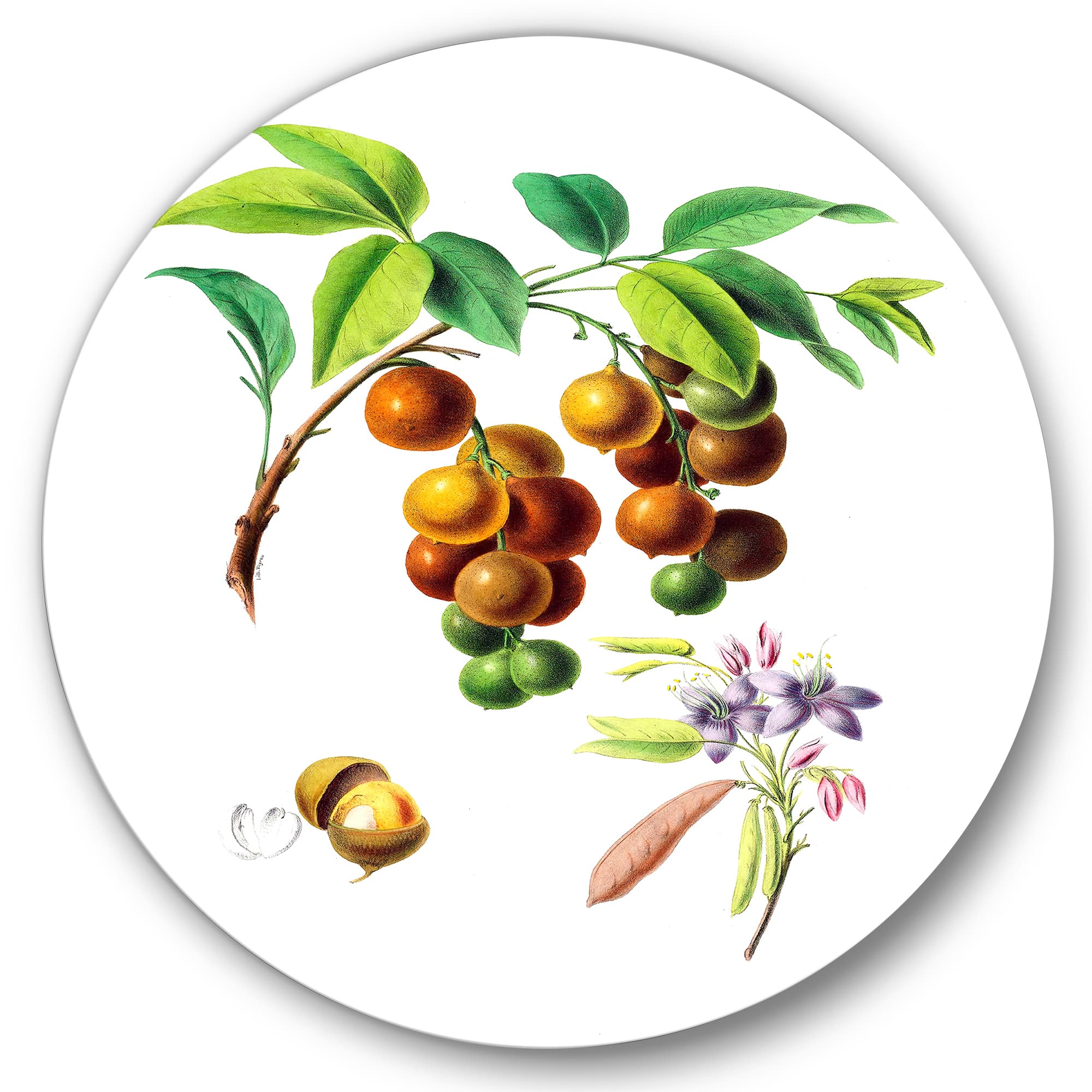 Designart - Vintage Fruits III - Farmhouse Metal Circle Wall Art