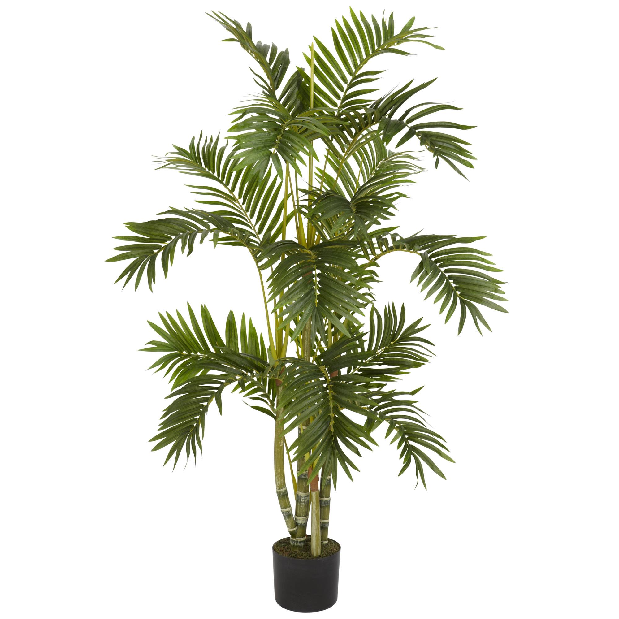 4ft. Potted Areca Palm Tree