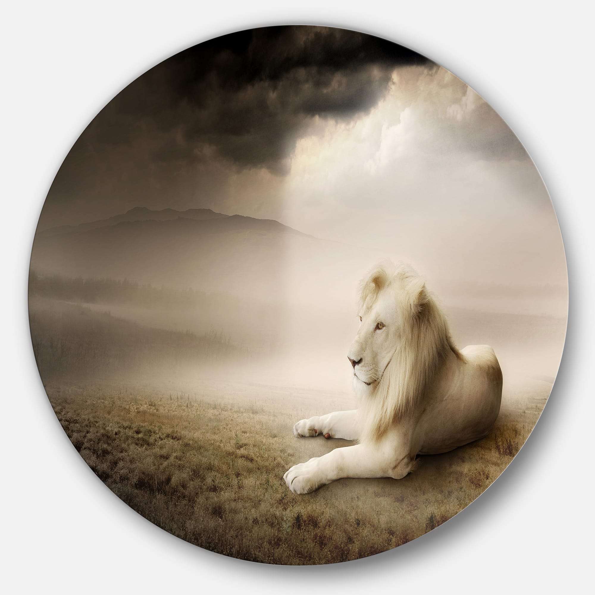 Designart - King of Animals At Sunset&#x27; Ultra Glossy Animal Oversized Metal Circle Wall Art