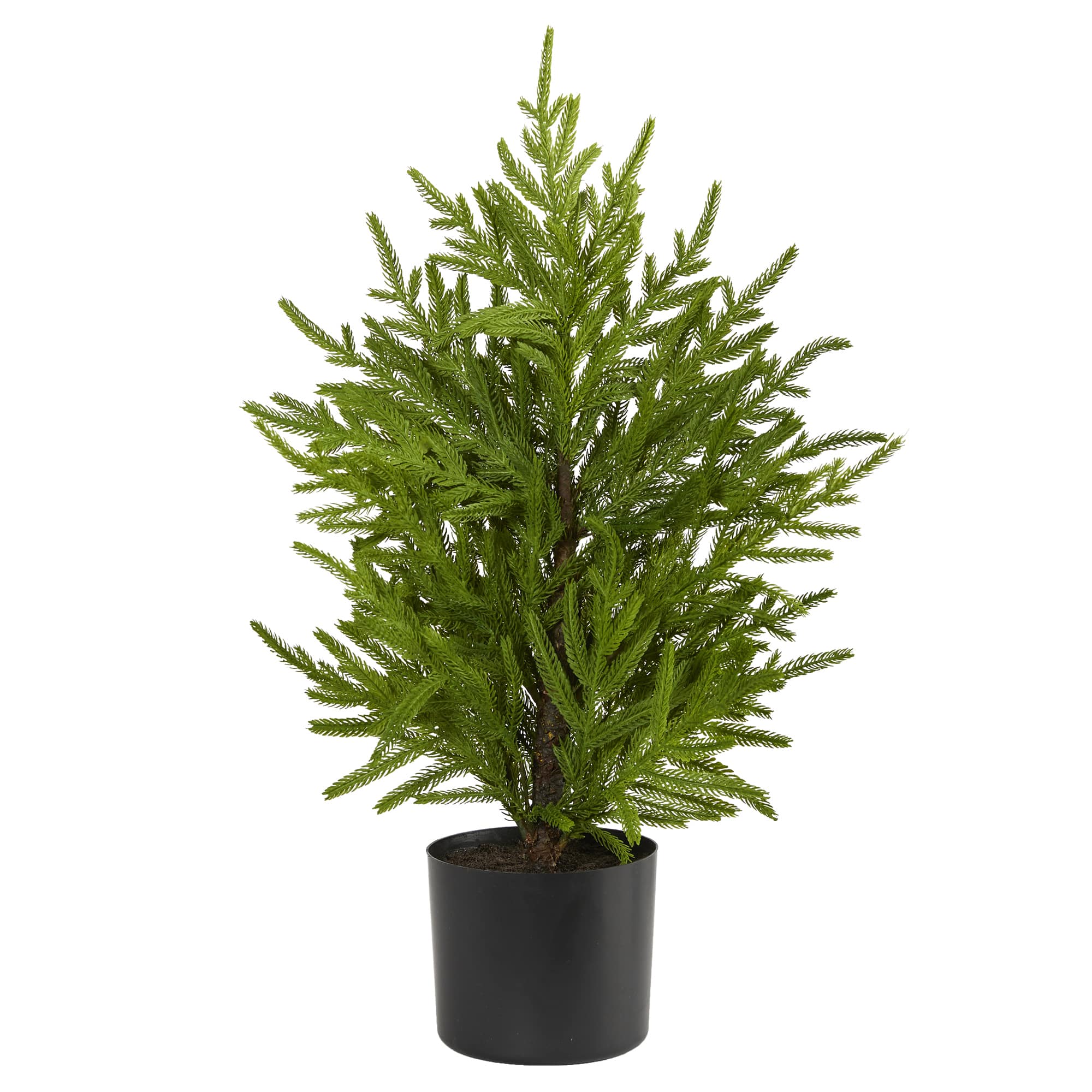 2ft. Unlit Norfolk Island Pine Natural Look Artificial Christmas Tree