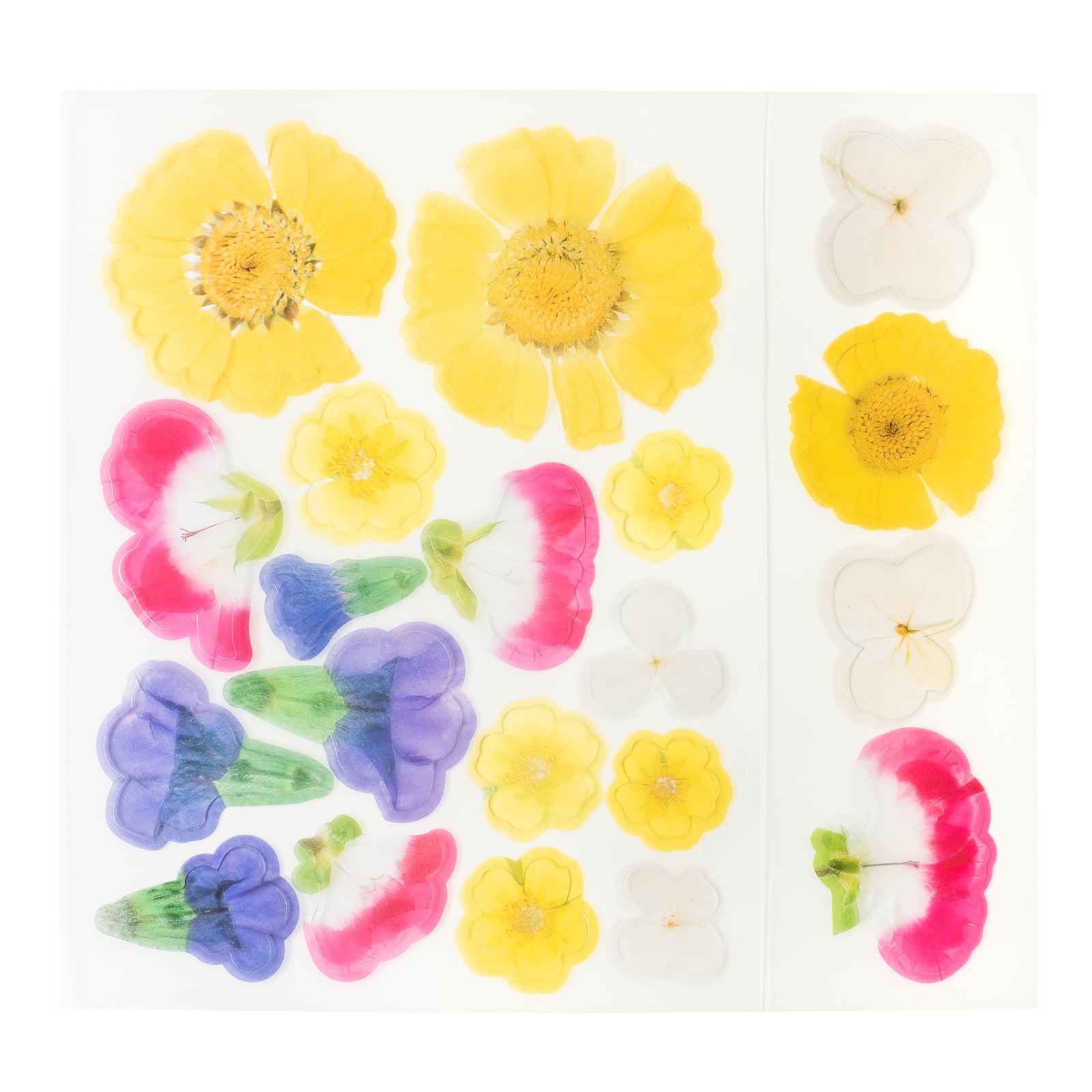 Flowers Acetate Pieces by Craft Smart&#xAE;