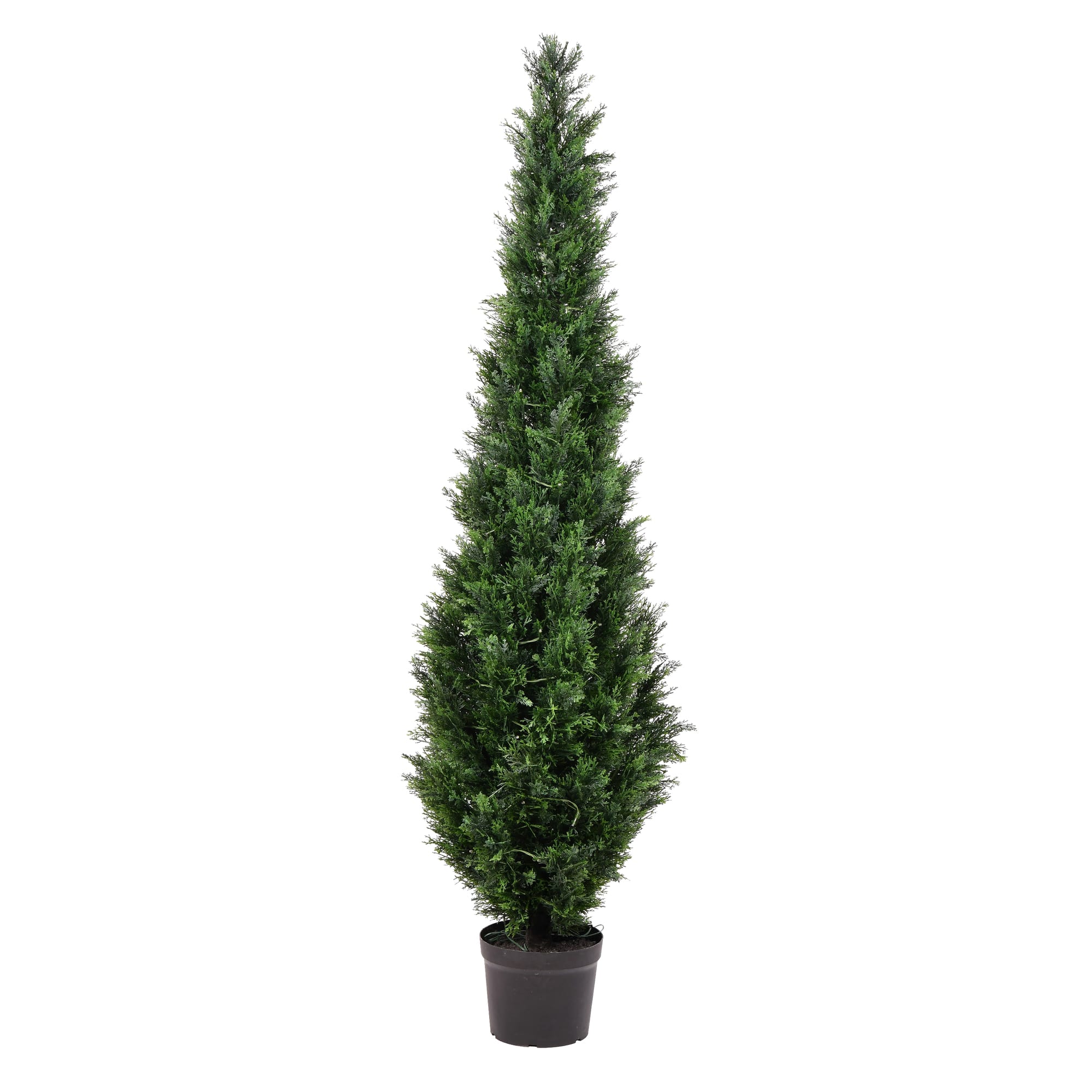 6ft. Potted Cedar Tree
