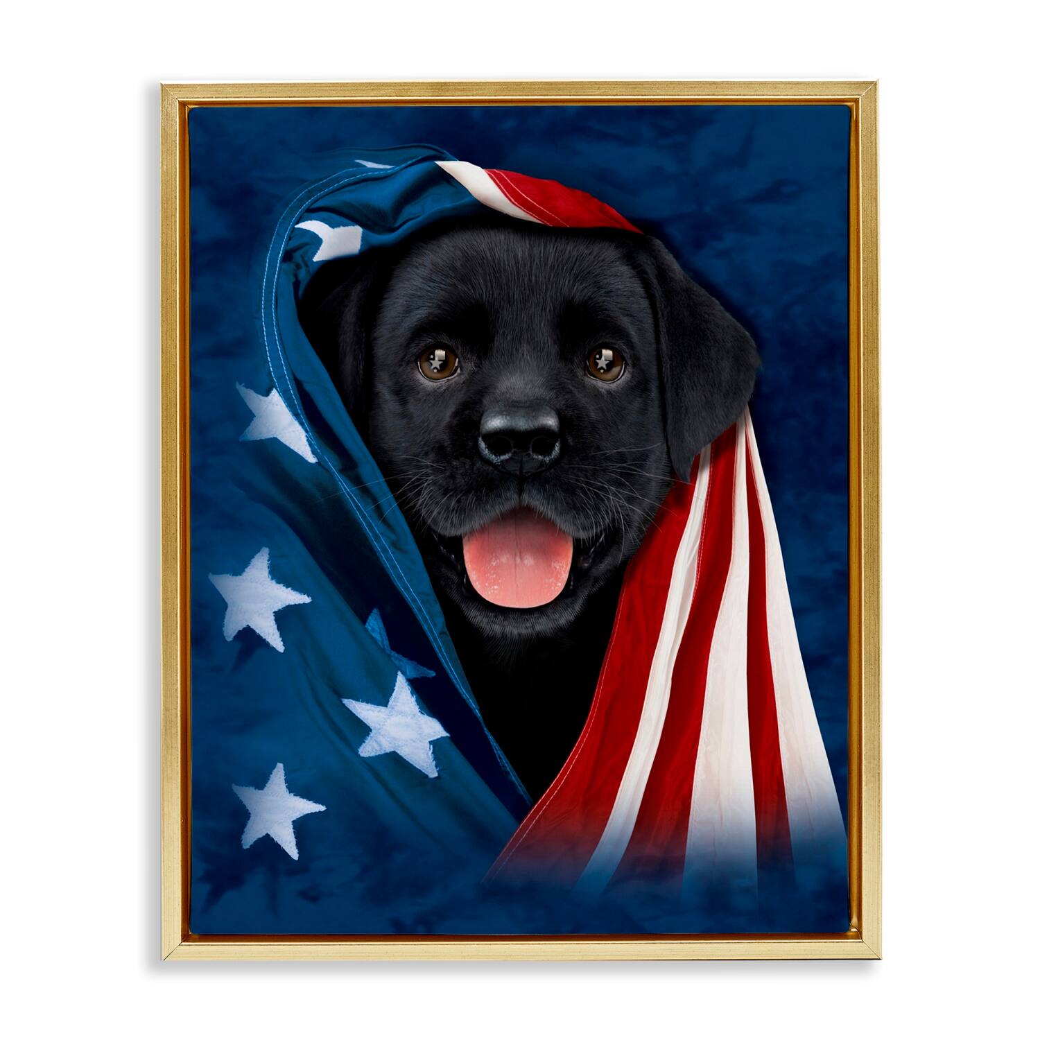 Stupell Industries Labrador & American Flag Floater Framed Art