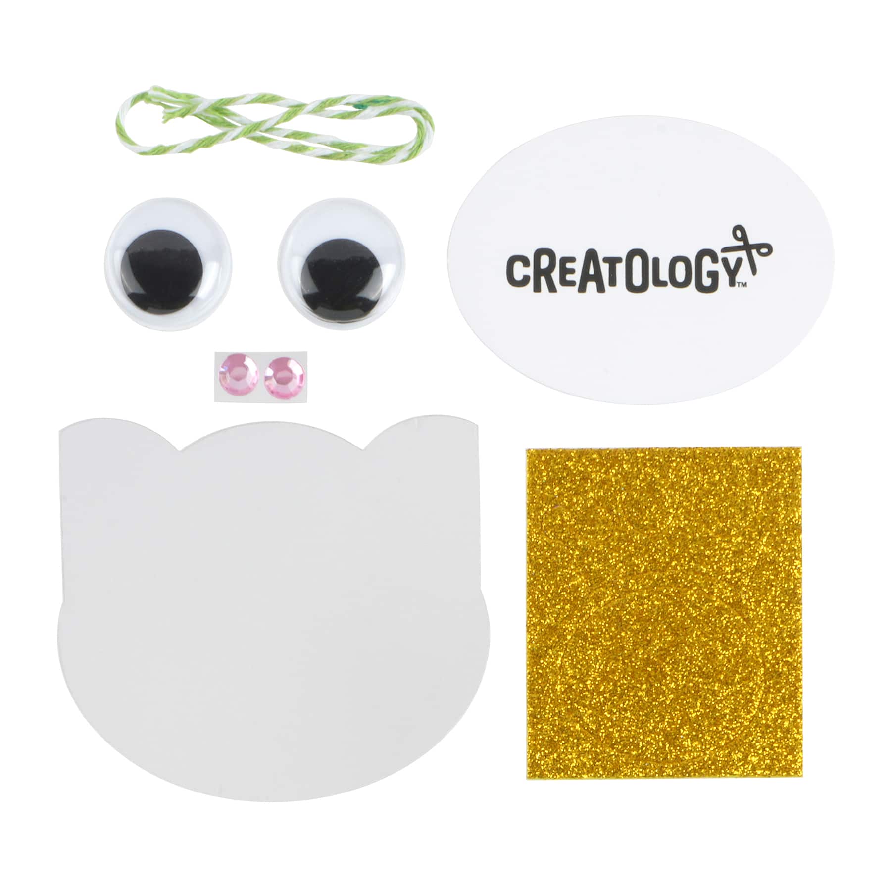 Frog Wood Frame Craft Kit by Creatology&#x2122;