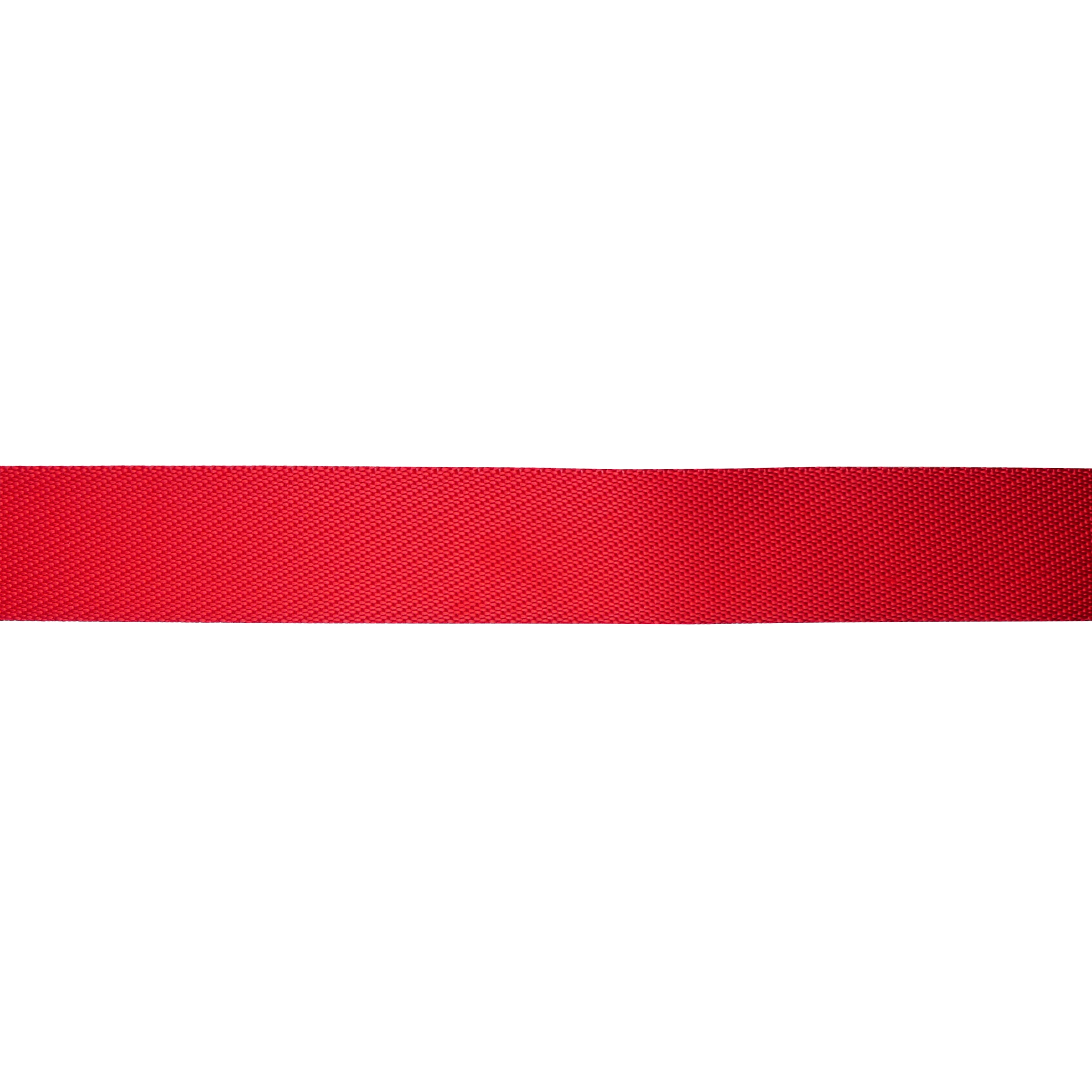 1.5&#x22; Belting Trim by Celebrate It&#xAE;