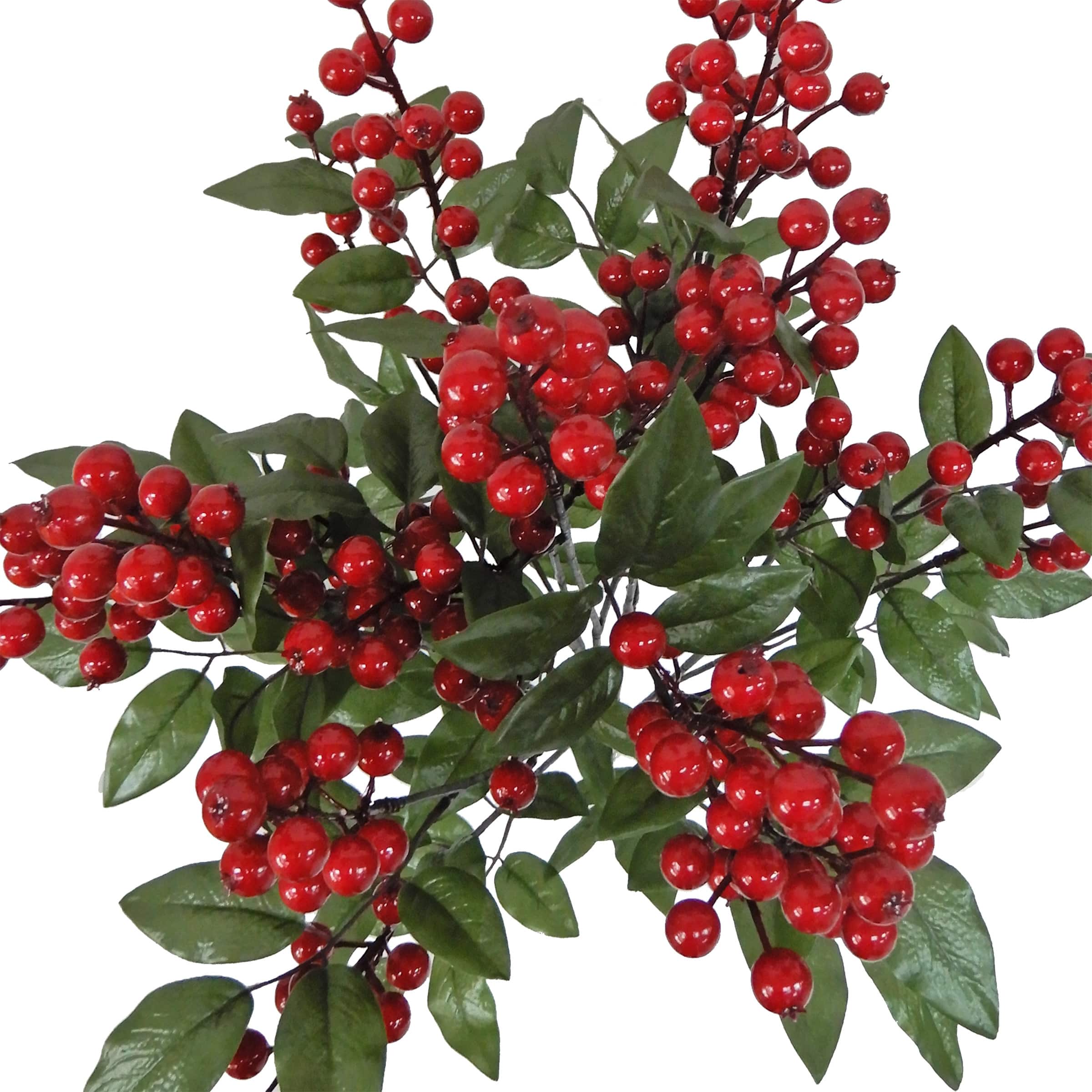 25&#x22; Red Berry Deluxe Bush by Ashland&#xAE;