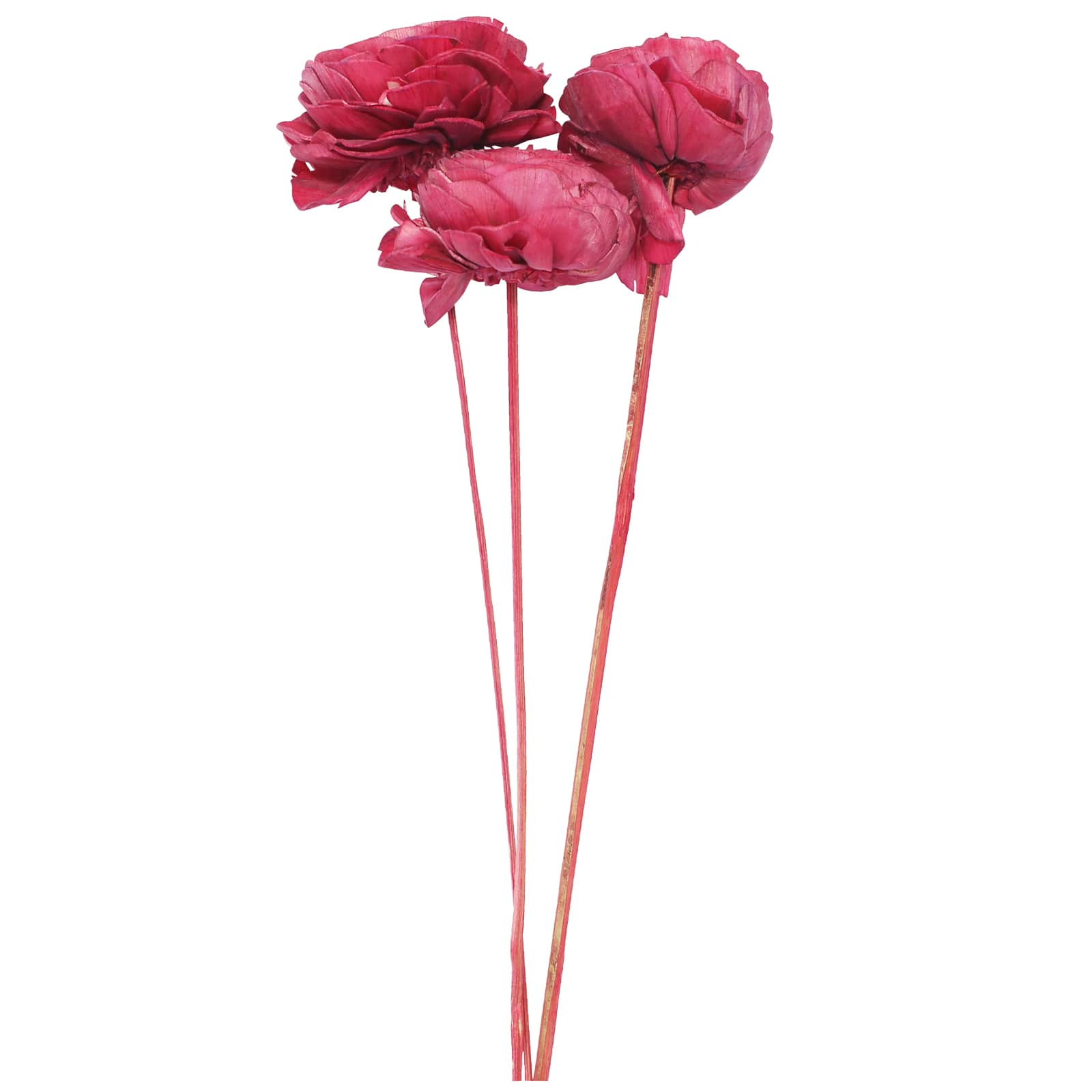 20&#x22; Pink Cabbage Rose Sola Flowers by Ashland&#xAE;, 3ct.