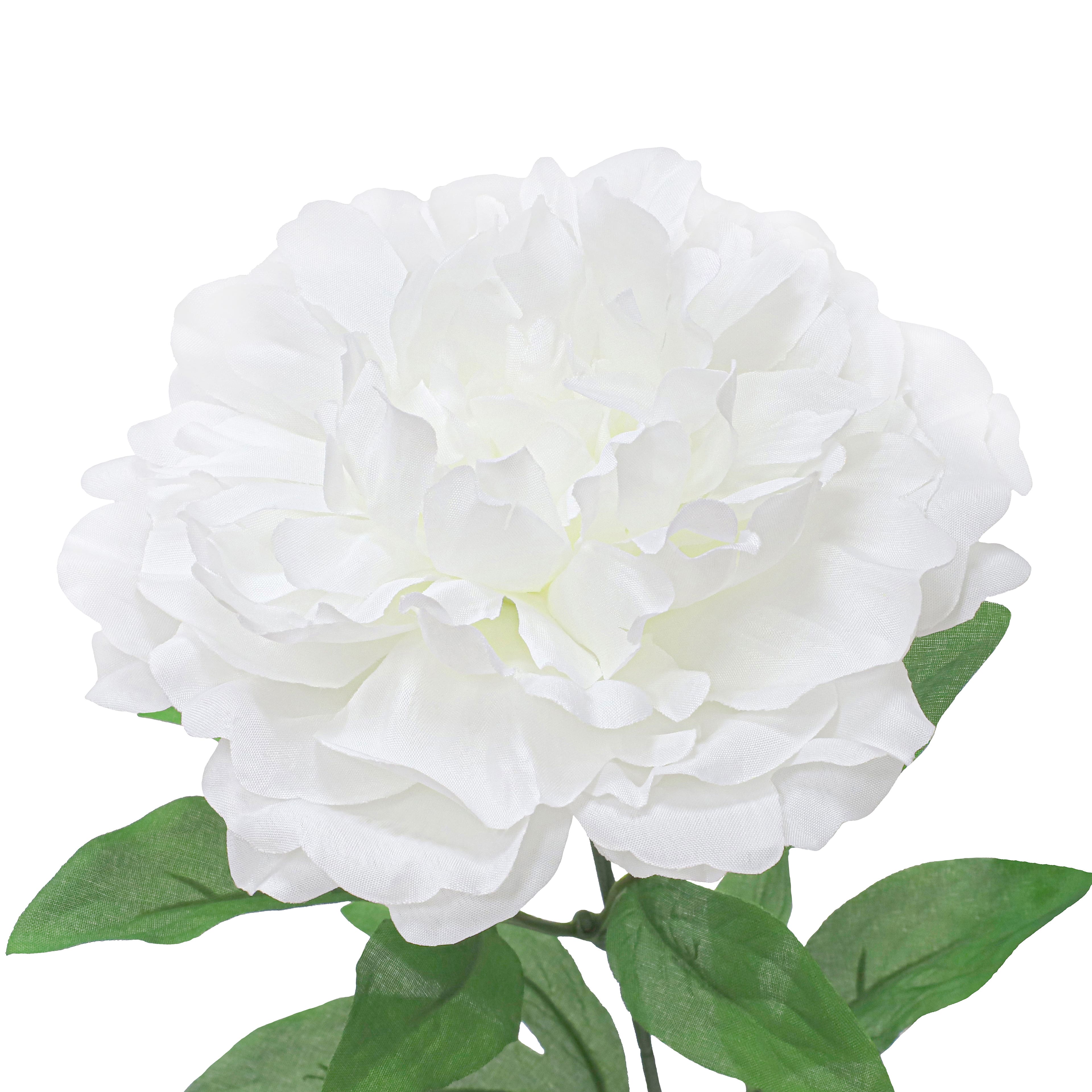 21&#x22; White Peony Bush by Ashland&#xAE;