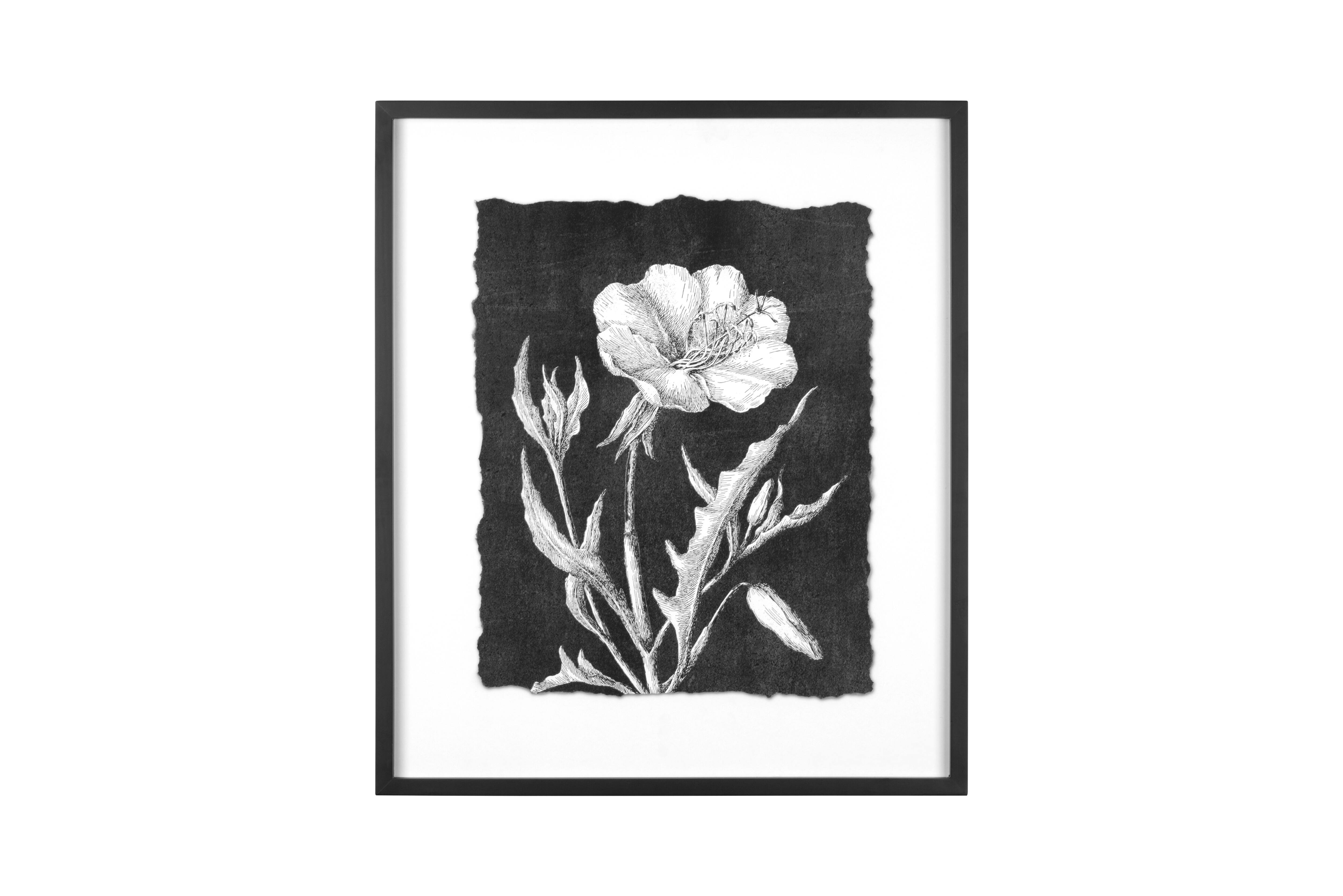 Hello Honey® Black and White Botanical Print Wall Décor with Glass and Wood Frame Set