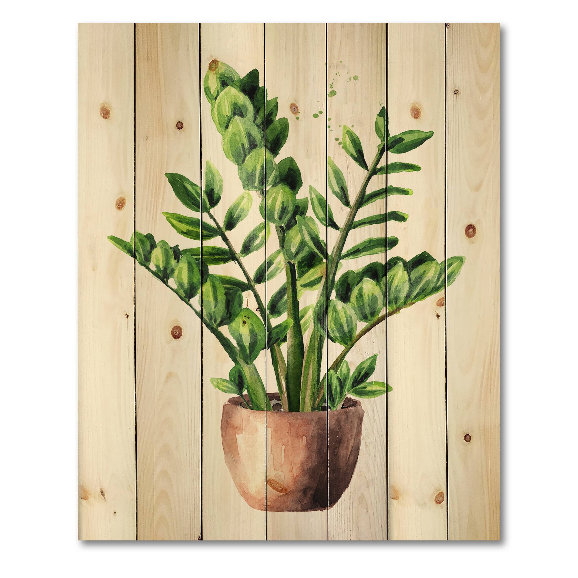 Designart - Zamioculcas Tropical Plant With Green Leaves - Traditional Print on Natural Pine Wood