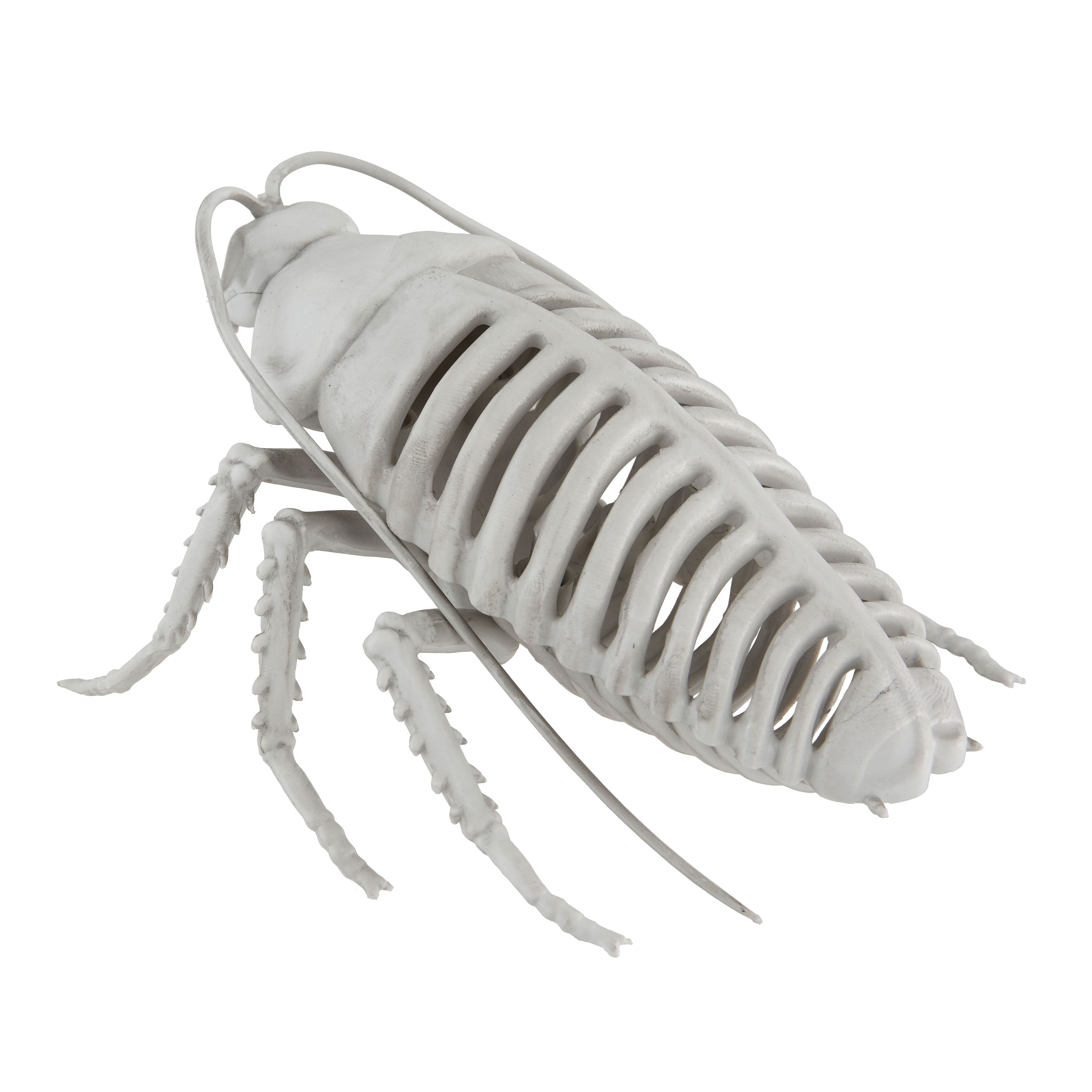 5.75&#x22; Cockroach Skeleton by Ashland&#xAE;