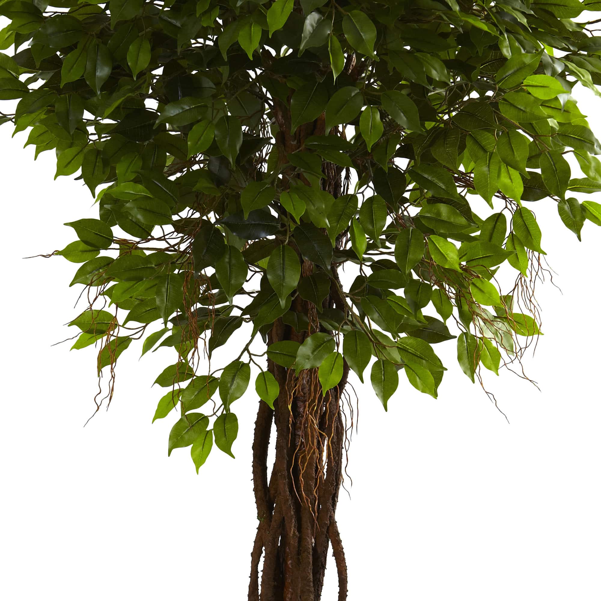 7.5ft. Potted UV Resistant Ficus Tree