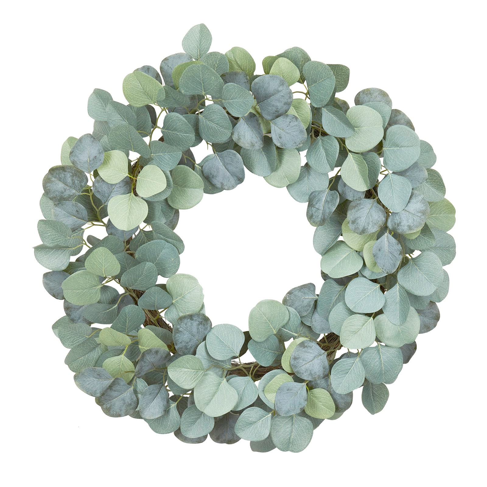 22" Eucalyptus Wreath by Ashland®