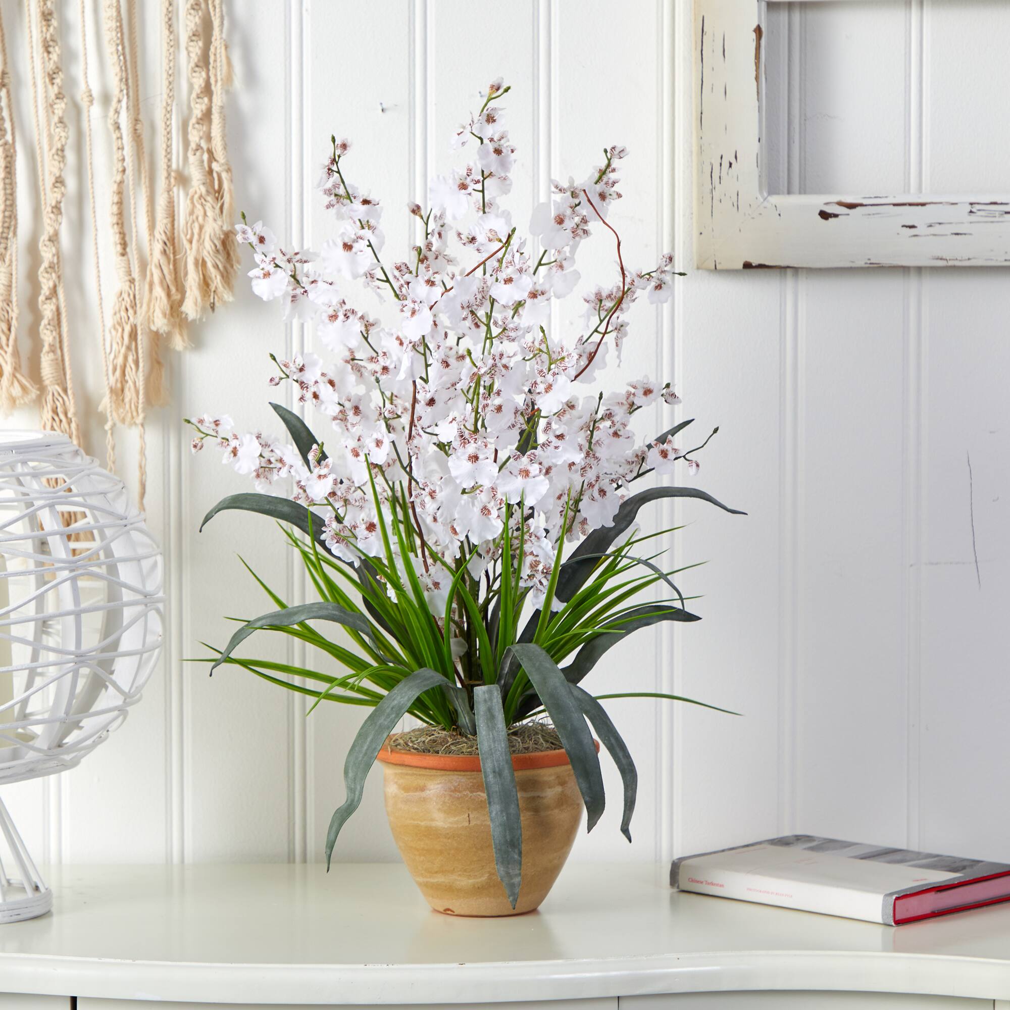 2ft. White Dancing Lady Orchid Arrangement in Ceramic Vase