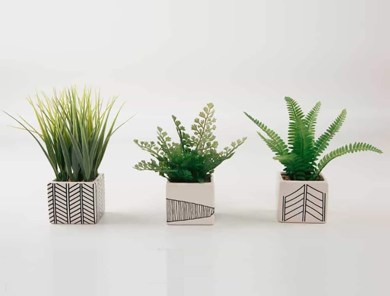 TF Publishing 7" Ferns and Grass in Chevron Pot, 3ct.