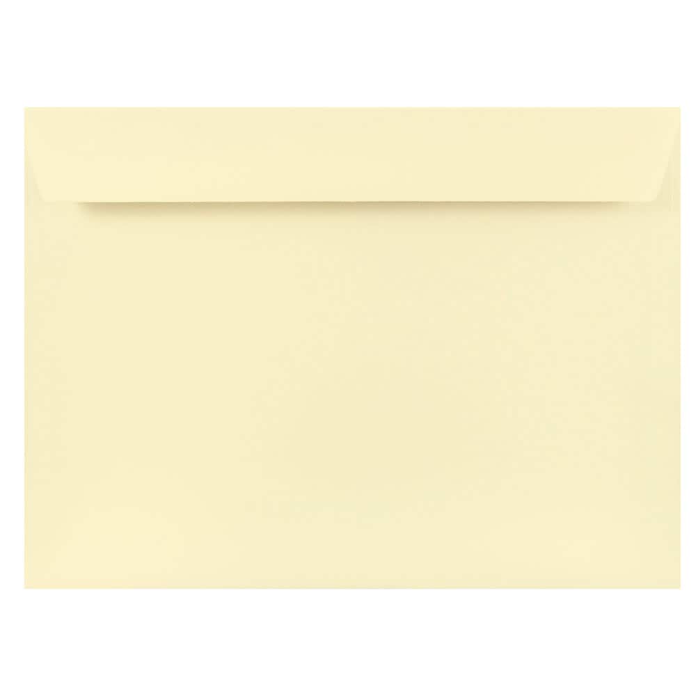 JAM Paper Strathmore 9" x 12" Booklet Wove Envelopes, 25ct.