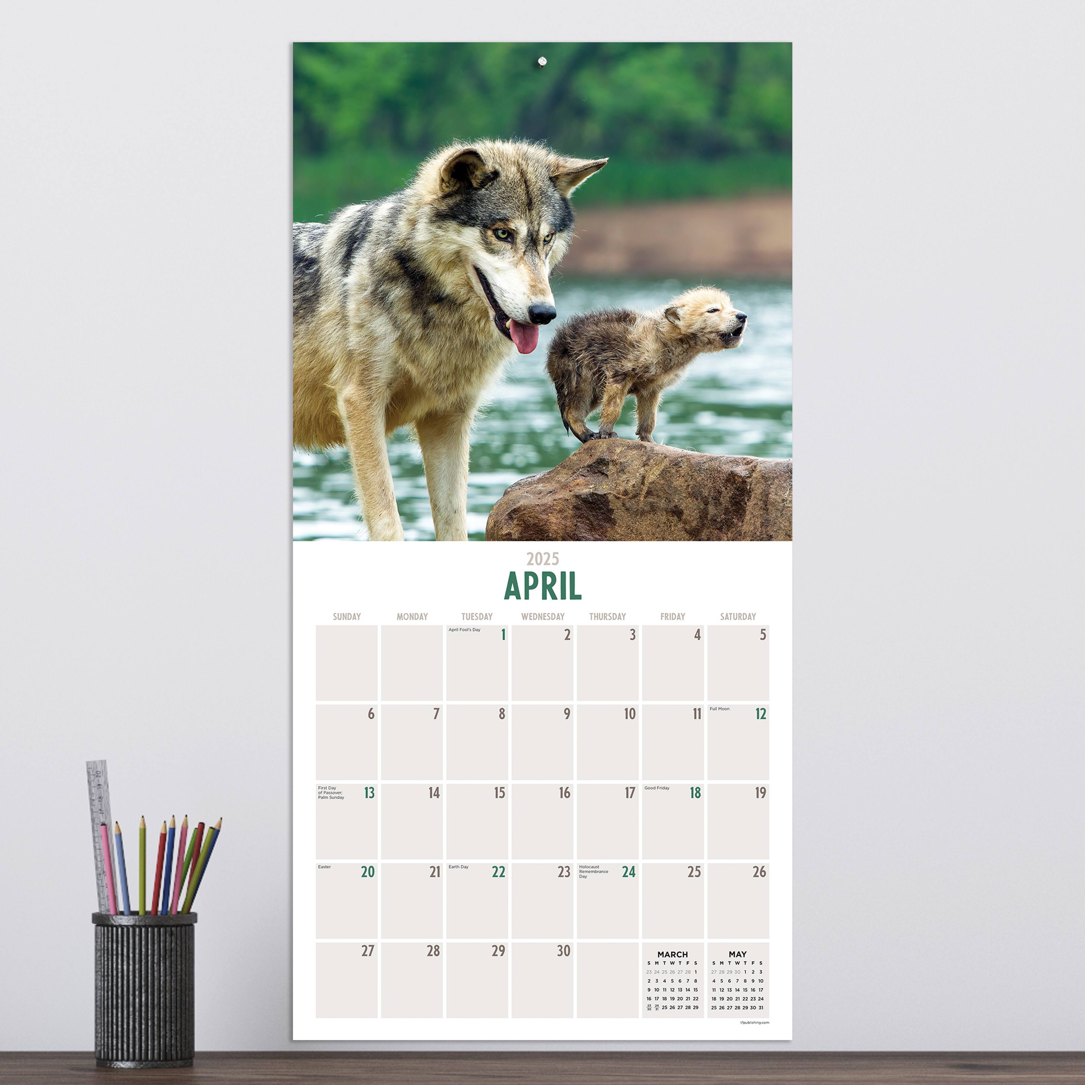 TF Publishing 2025 Wolves Wall Calendar