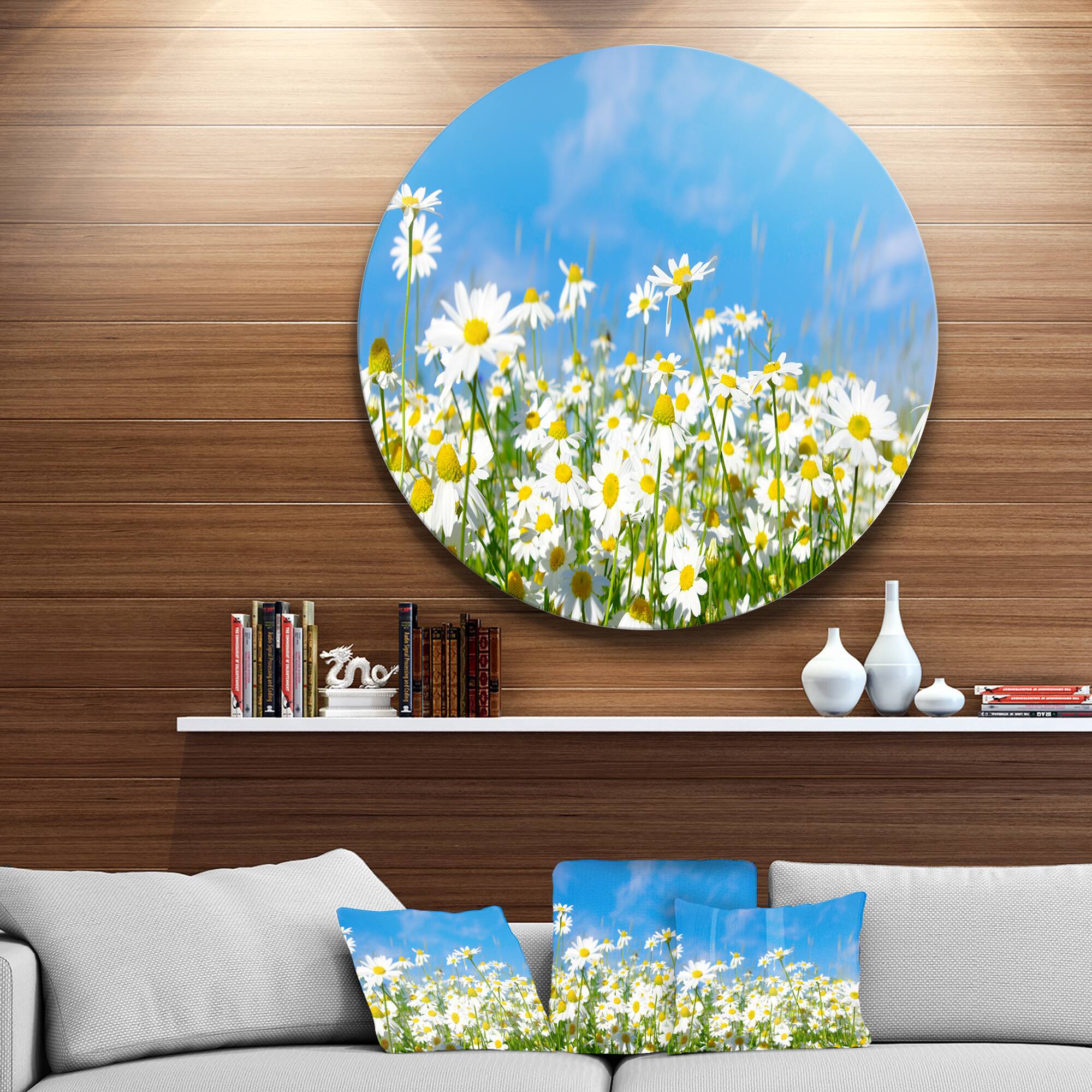 Designart - White Daisies under Bright Blue Sky&#x27; Disc Floral Circle Metal Wall Decor