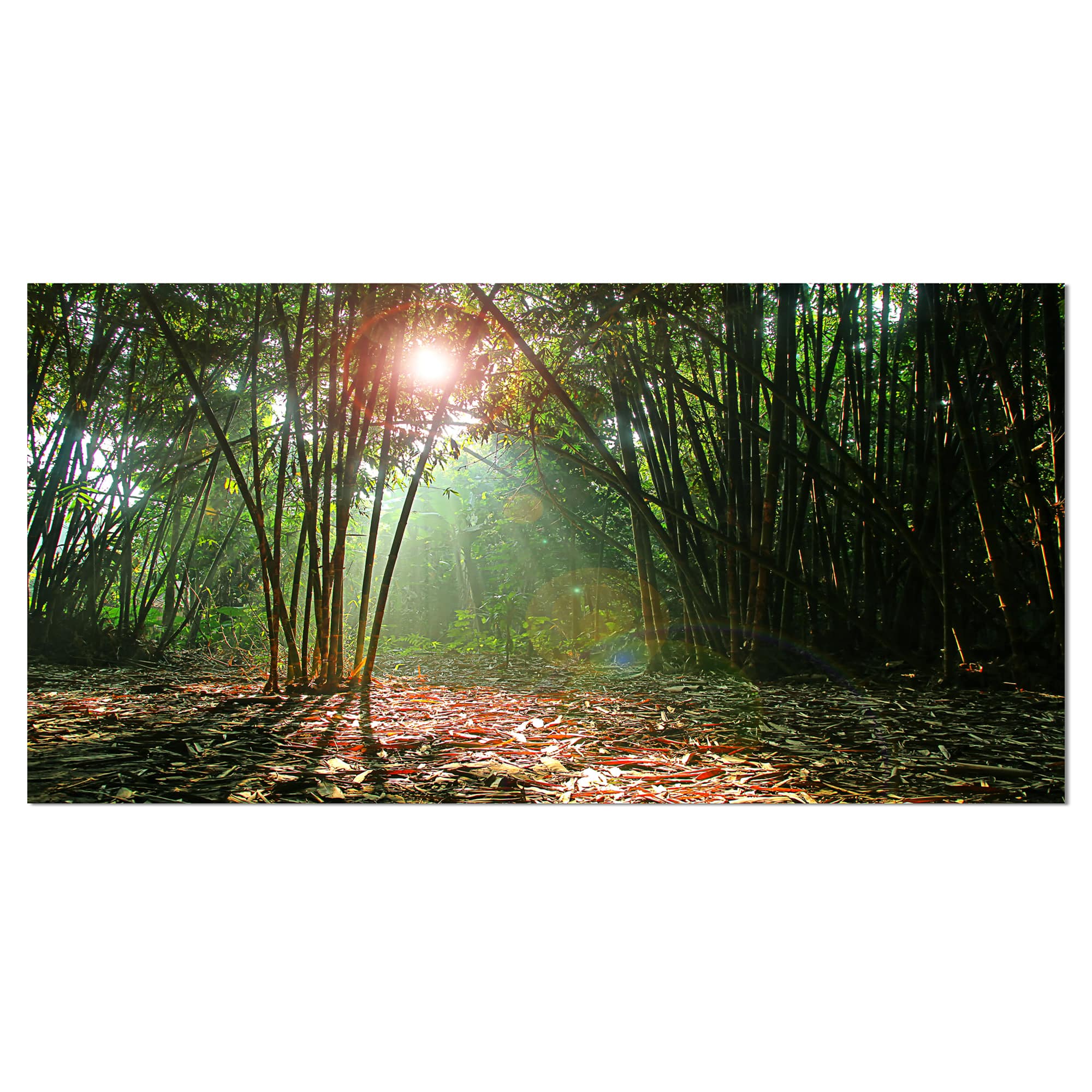 Designart - Amazing Green Forest at Sunset - Landscape Canvas Art Print
