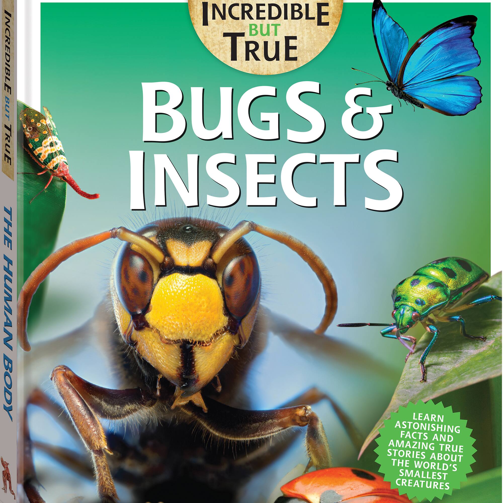 Incredible But True: Bugs & Insects