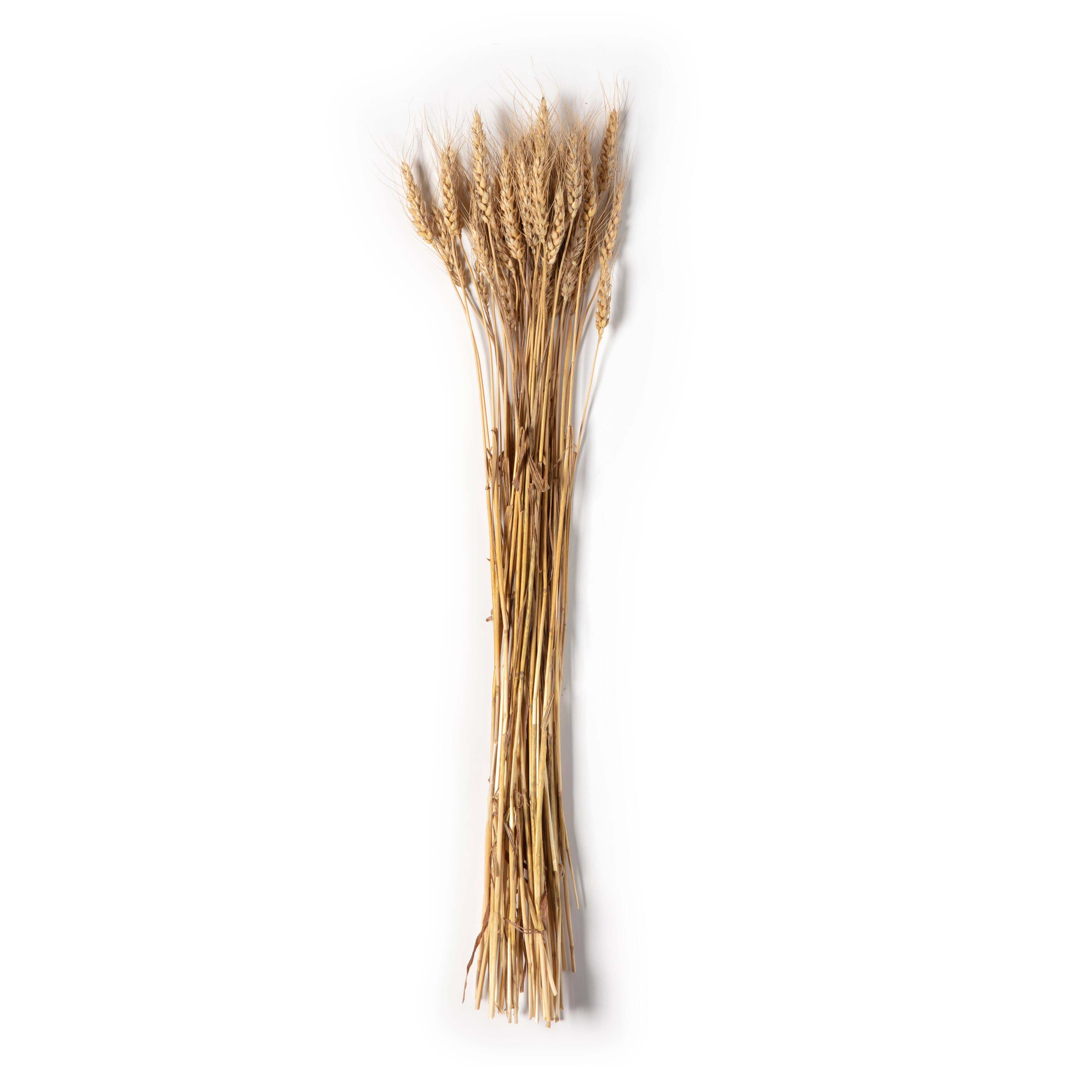 Ashland® Natural Wheat Bunch